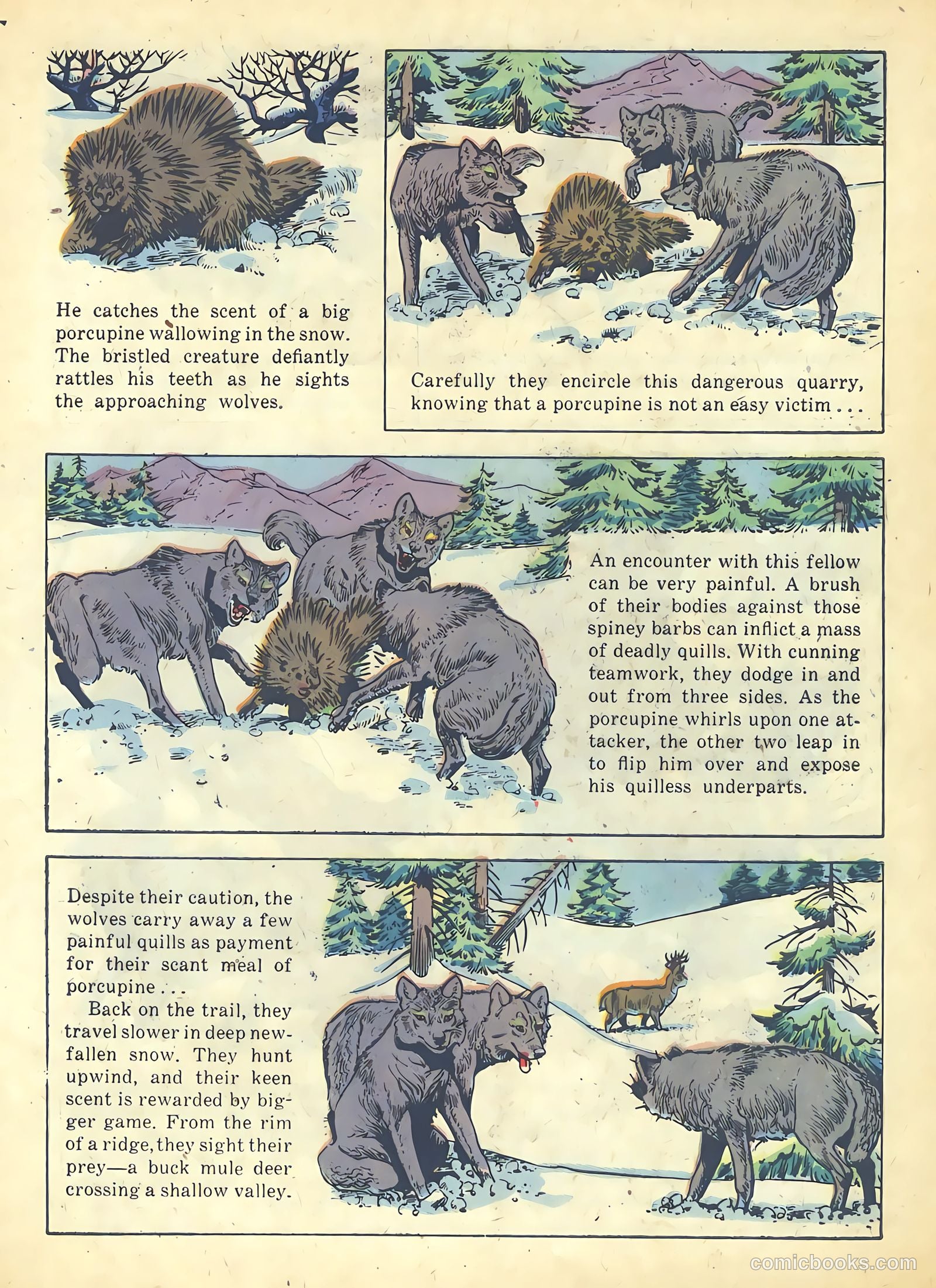Range Rider #19 (1957) — page 27 of 36