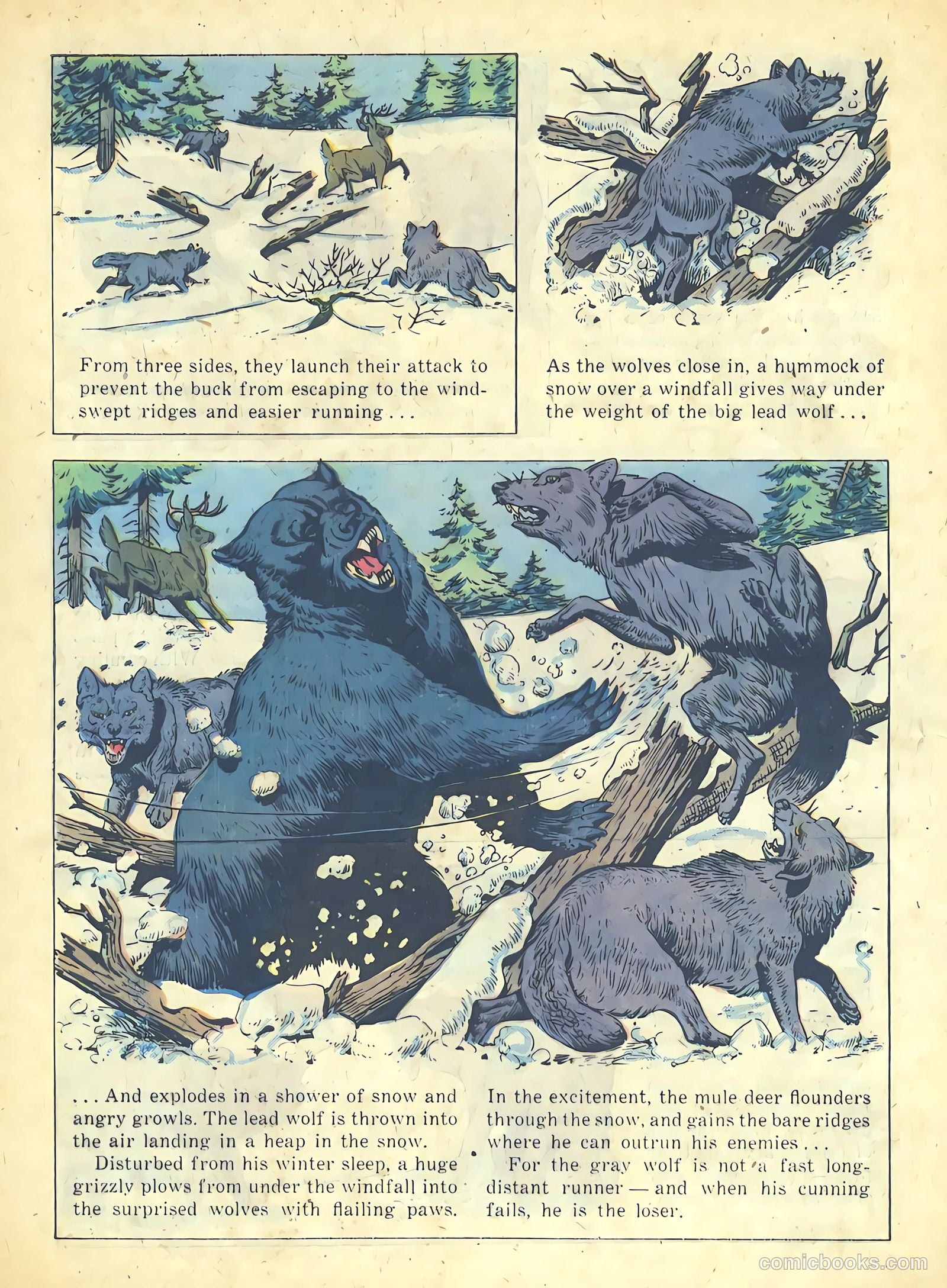 Range Rider #19 (1957) — page 28 of 36