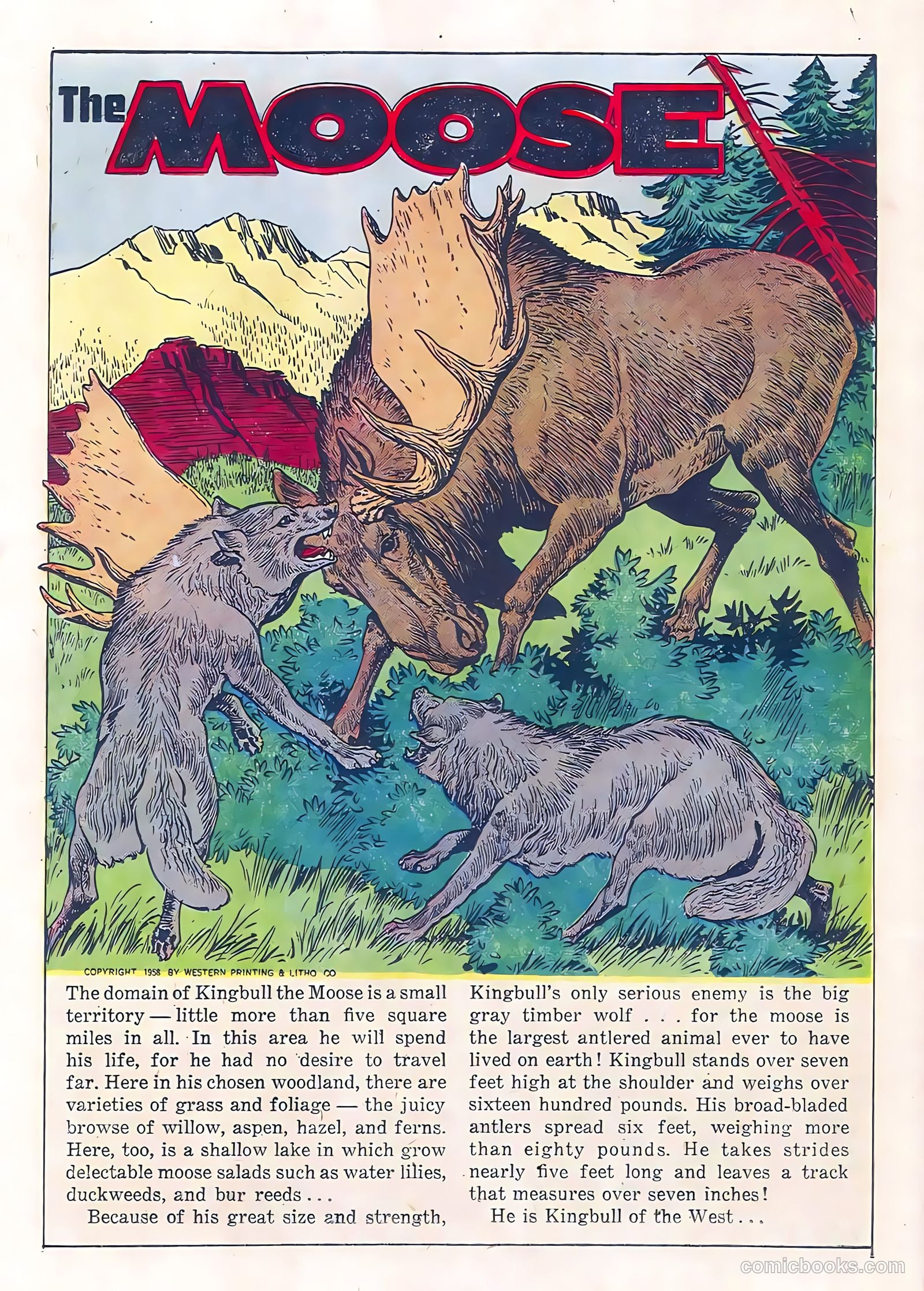 Range Rider #21 (1958) — page 18 of 36