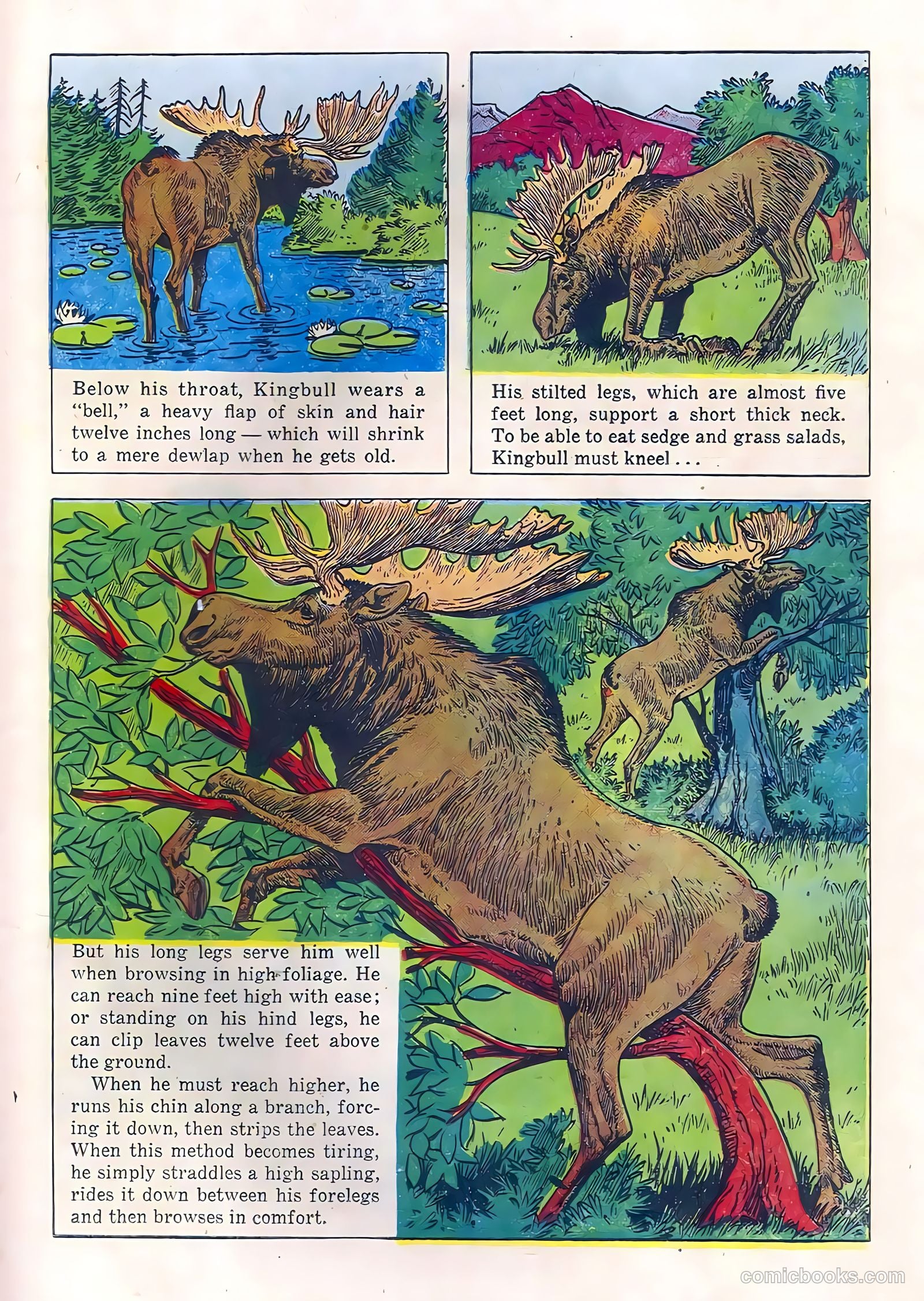 Range Rider #21 (1958) — page 19 of 36