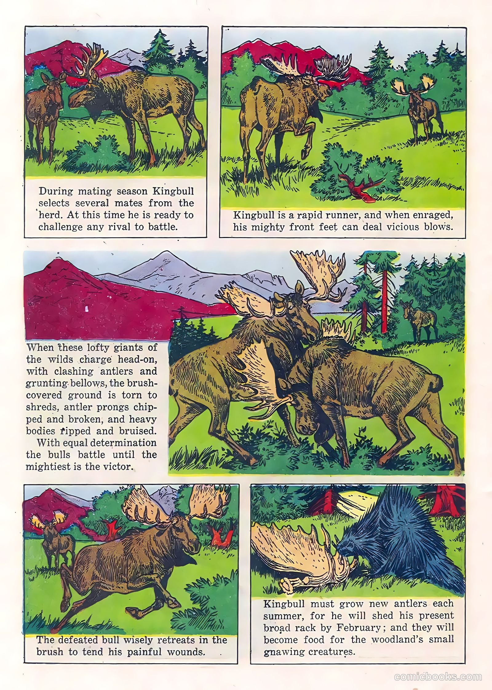 Range Rider #21 (1958) — page 20 of 36