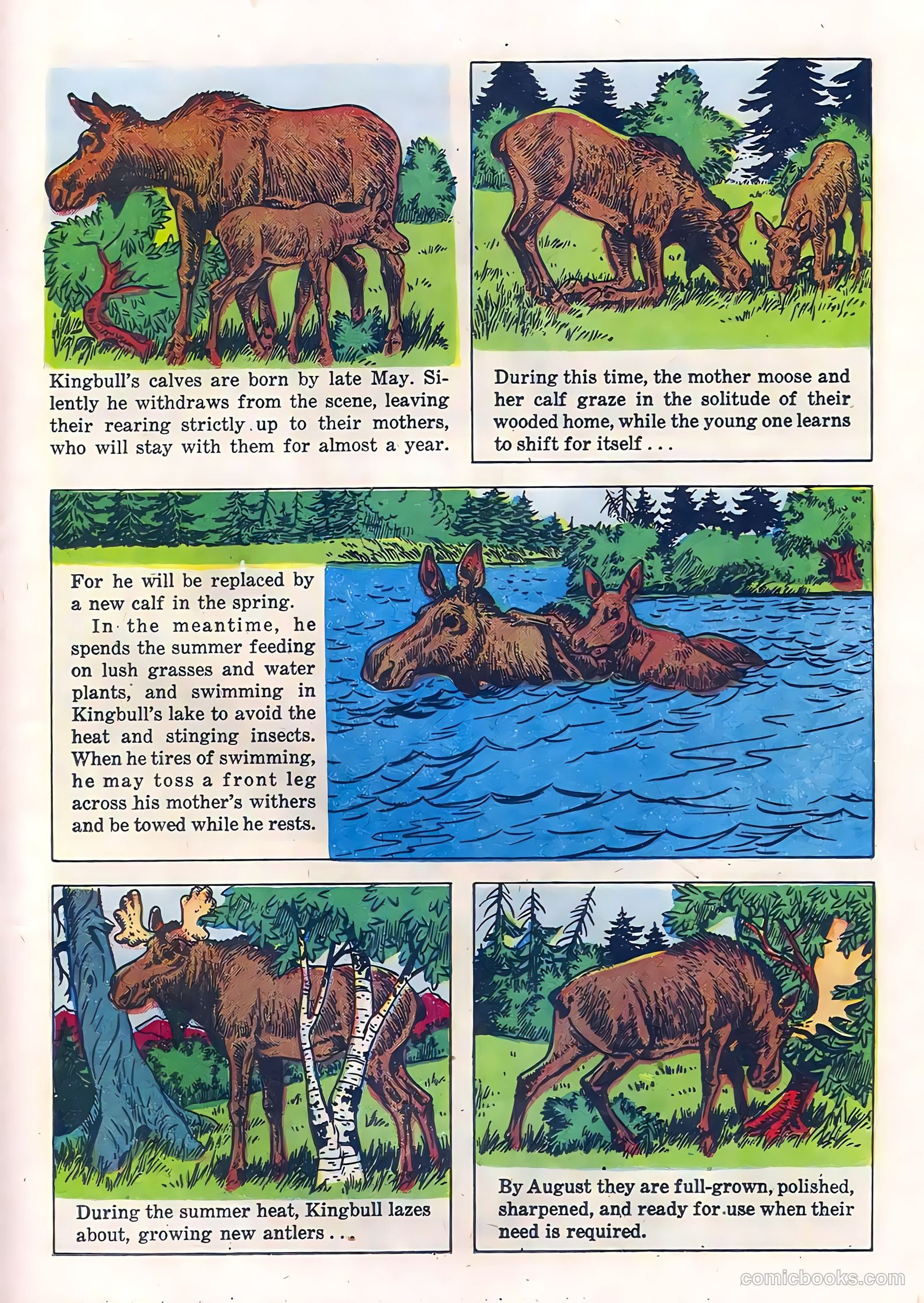 Range Rider #21 (1958) — page 21 of 36