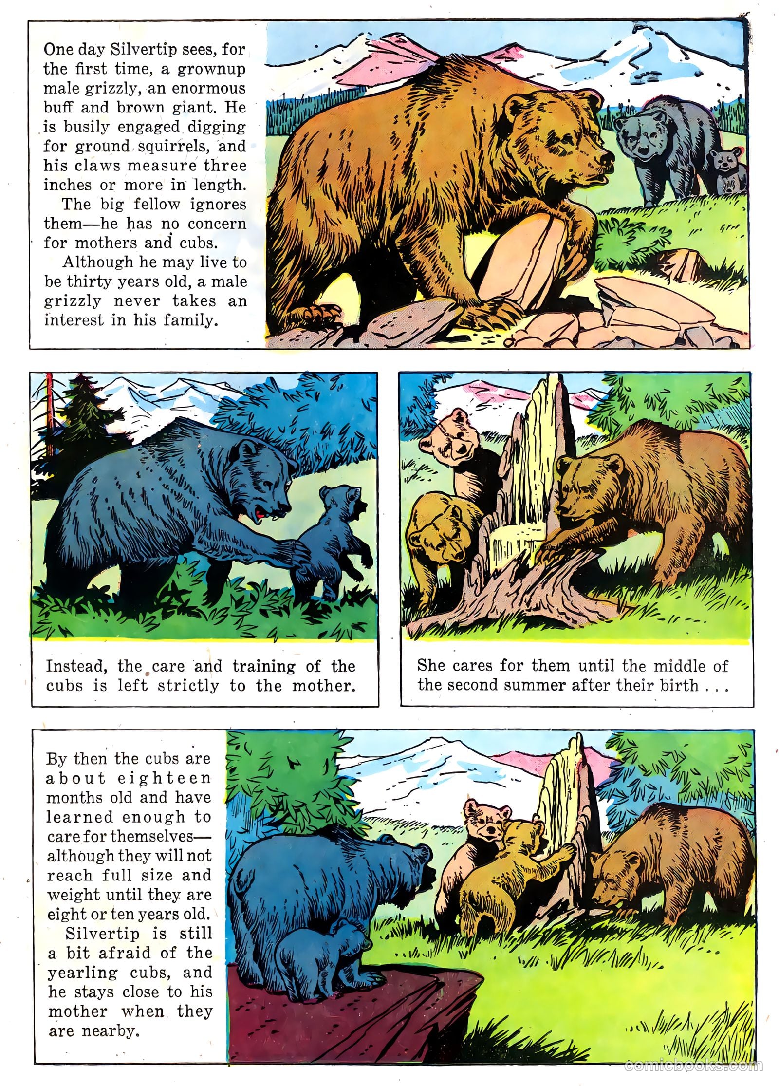 The Flying A's Range Rider #22 (1958) — page 23 of 36