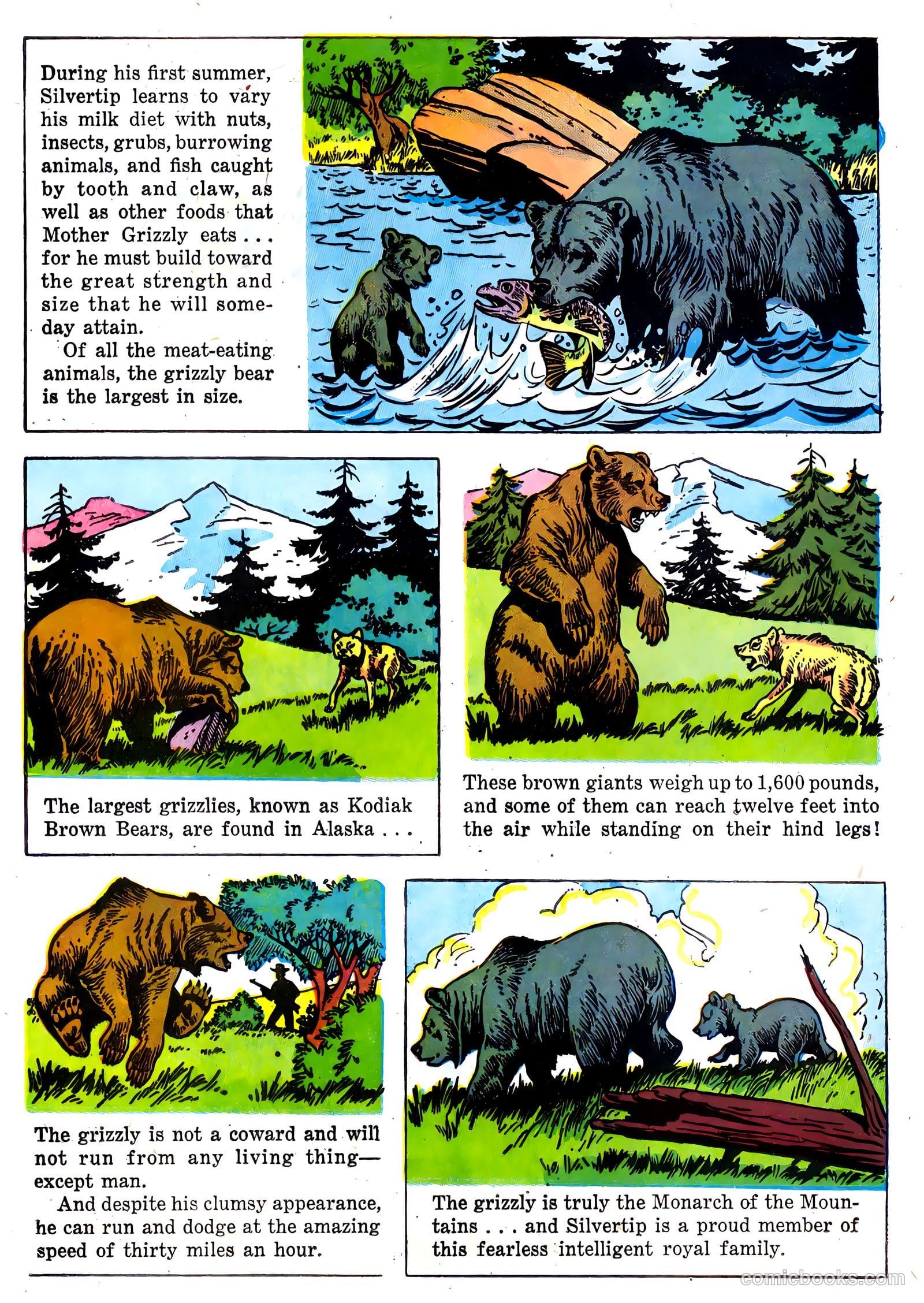 The Flying A's Range Rider #22 (1958) — page 24 of 36