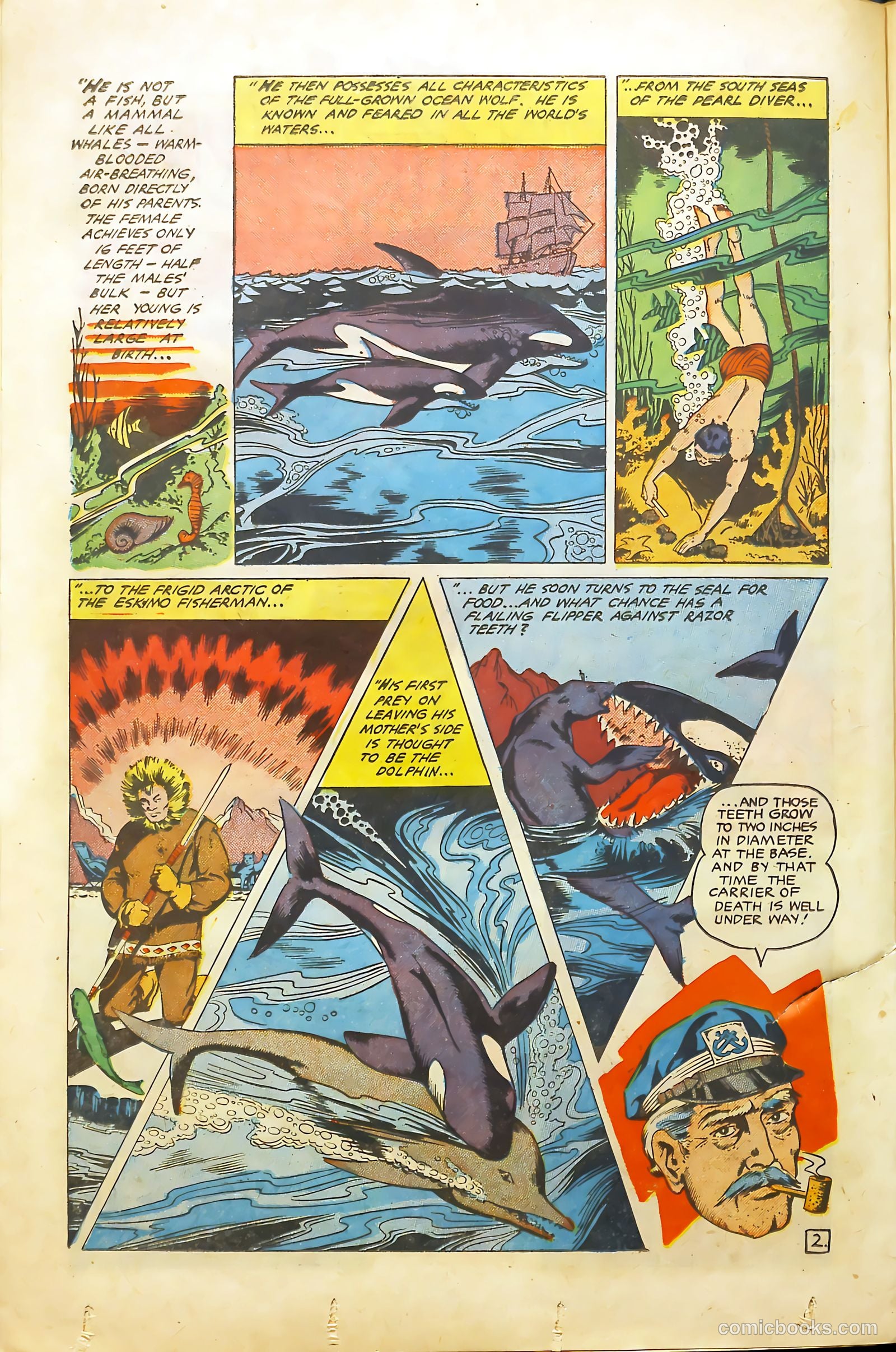 Rangers Comics #66 (1952) — page 22 of 37