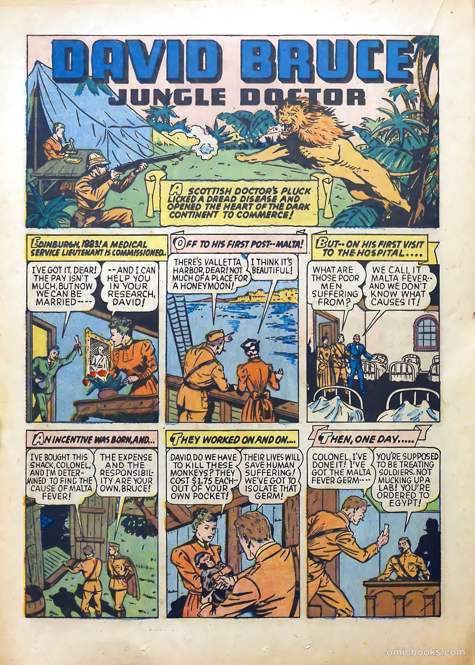 Real Adventure Comics #10 (1943) — page 36 of 68