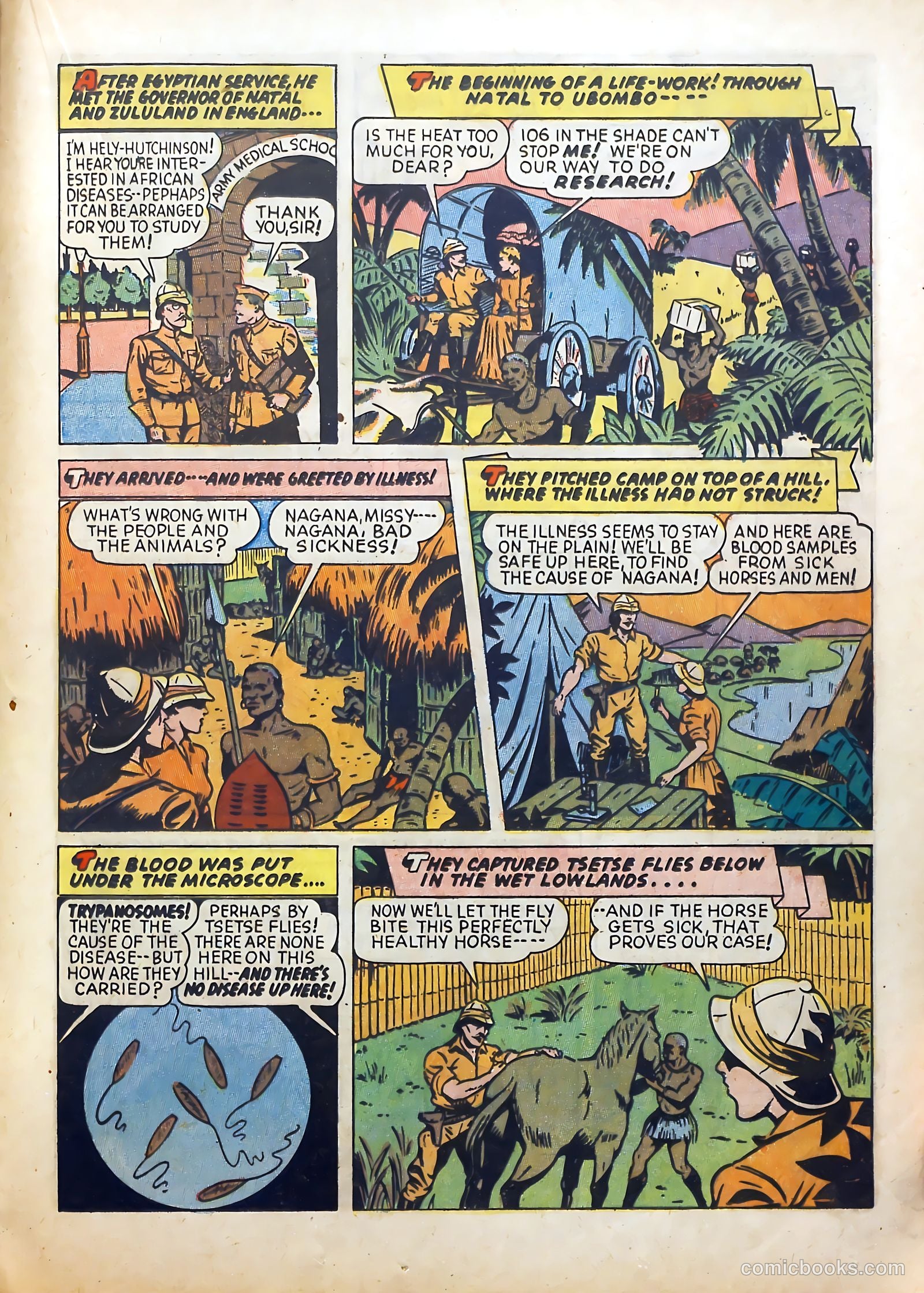 Real Adventure Comics #10 (1943) — page 37 of 68
