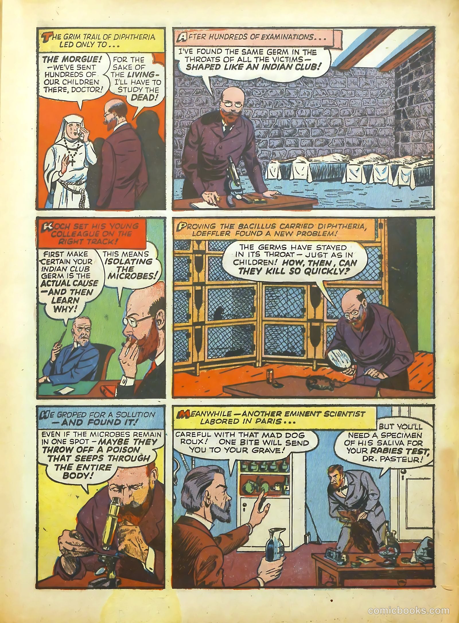 Real Adventure Comics #11 (1943) — page 33 of 68