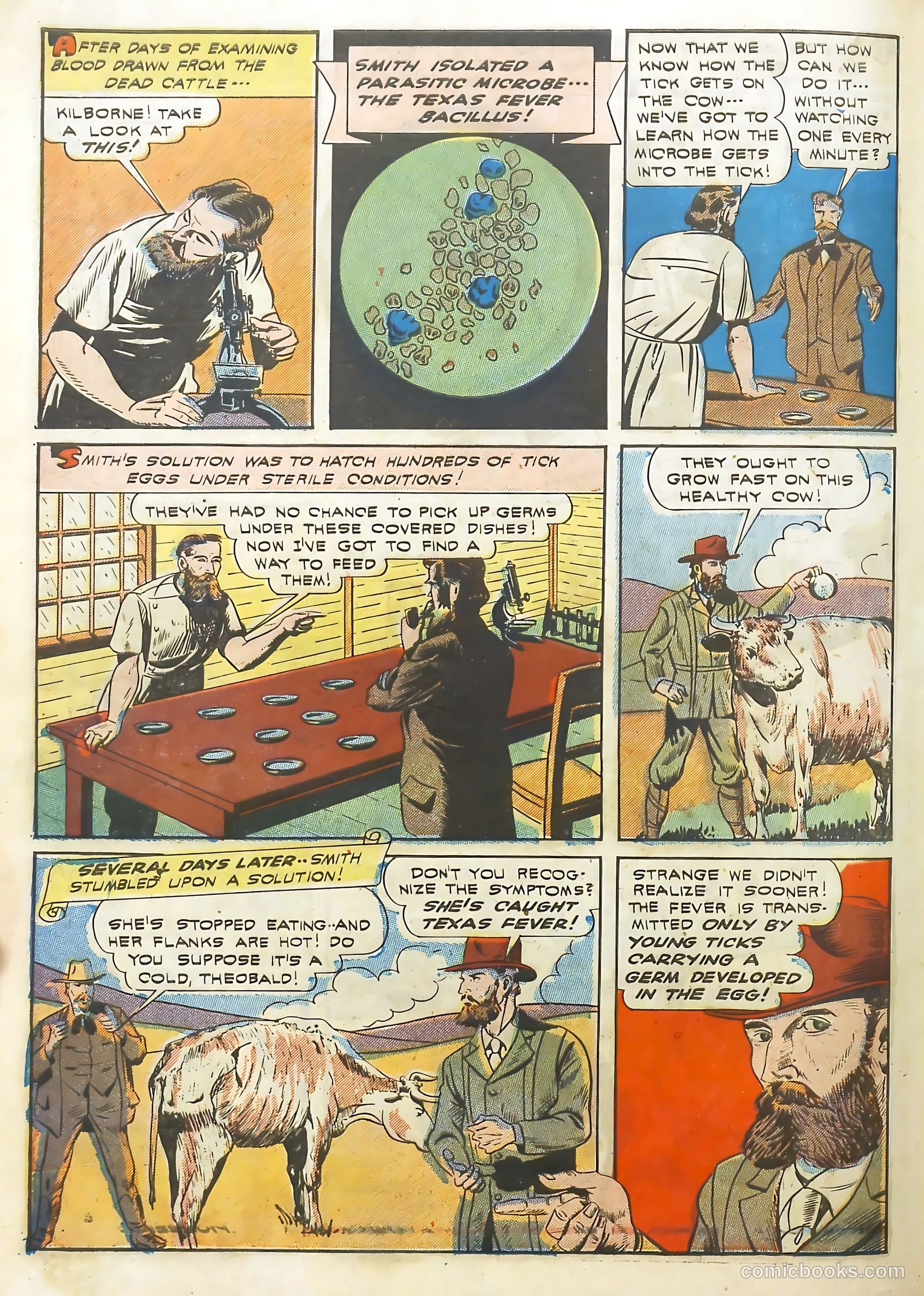 Real Adventure Comics #13 (1942) — page 55 of 61