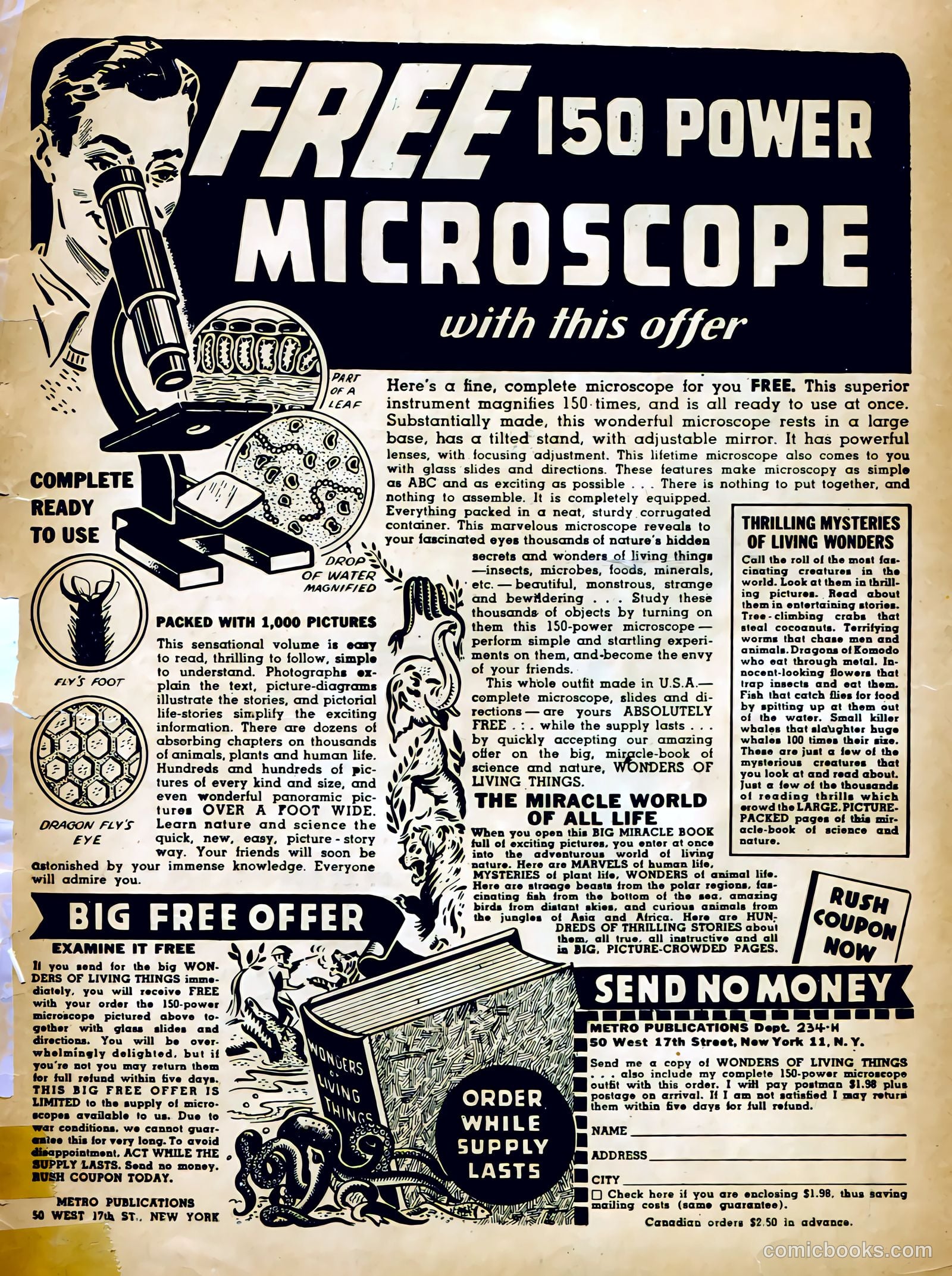 Real Life Comics #18 (1944) — page 51 of 52