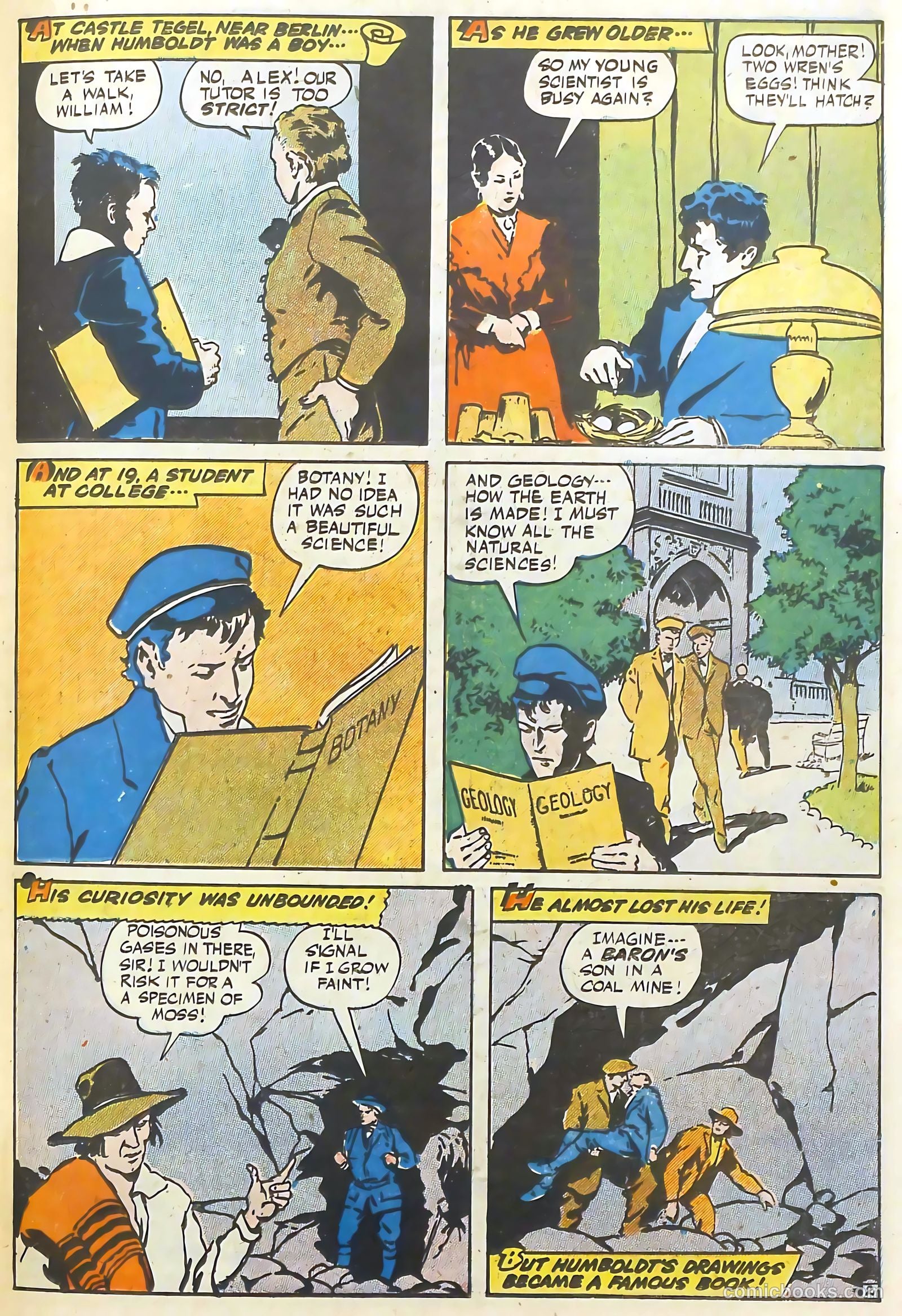 Real Life Comics #39 (1947) — page 37 of 52