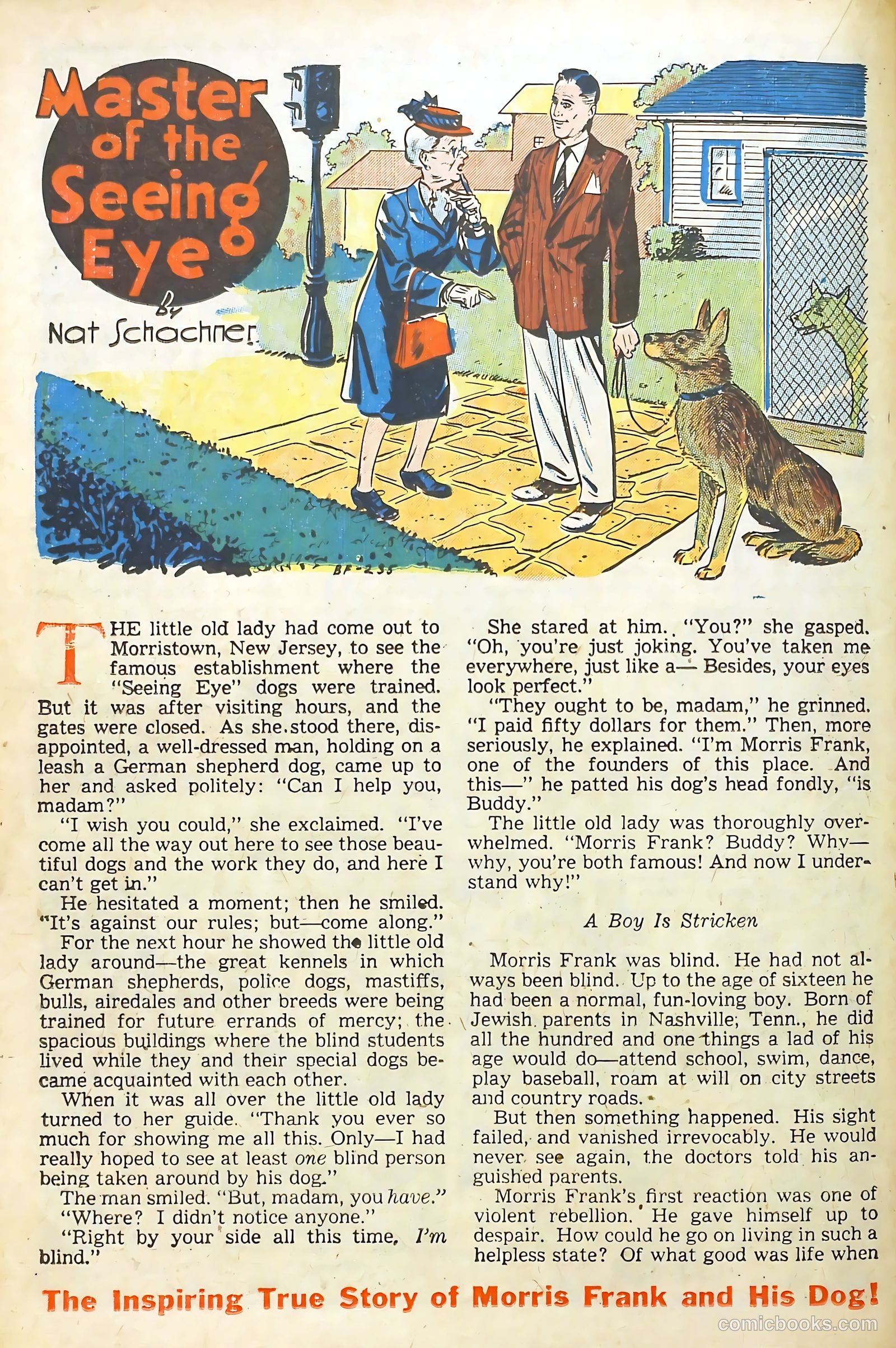 Real Life Comics #46 (1948) — page 23 of 53