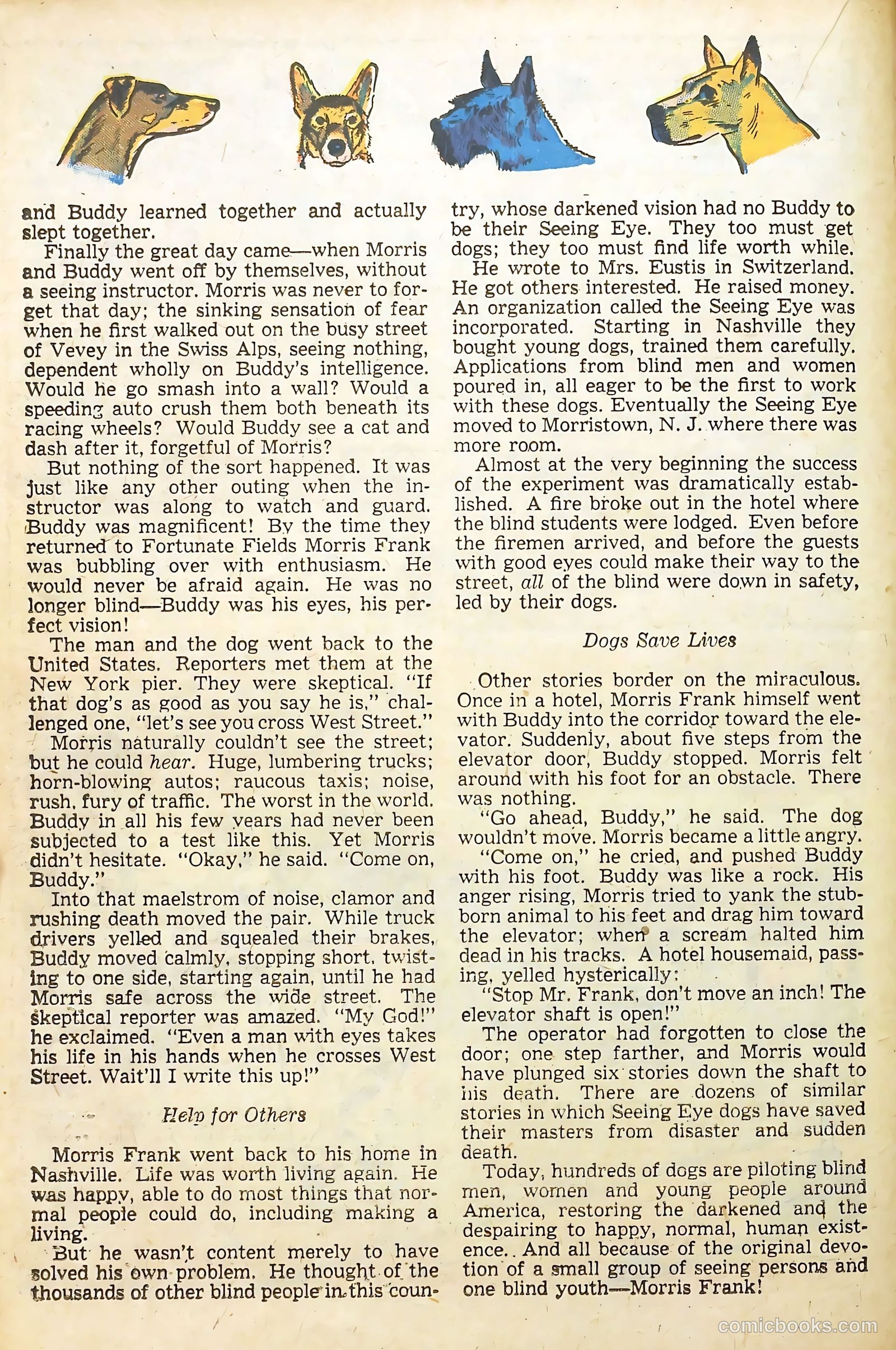 Real Life Comics #46 (1948) — page 25 of 53