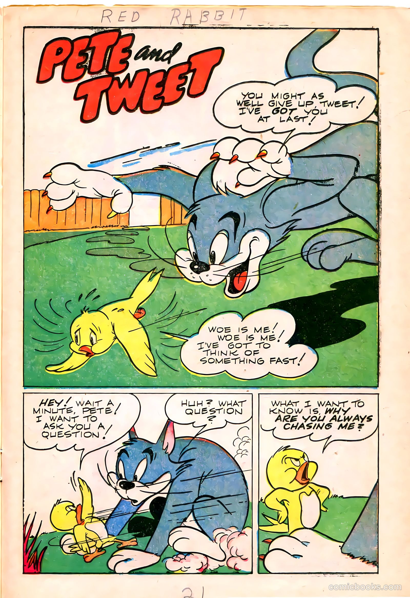 "Red" Rabbit Comics #11 (1949) — page 23 of 36