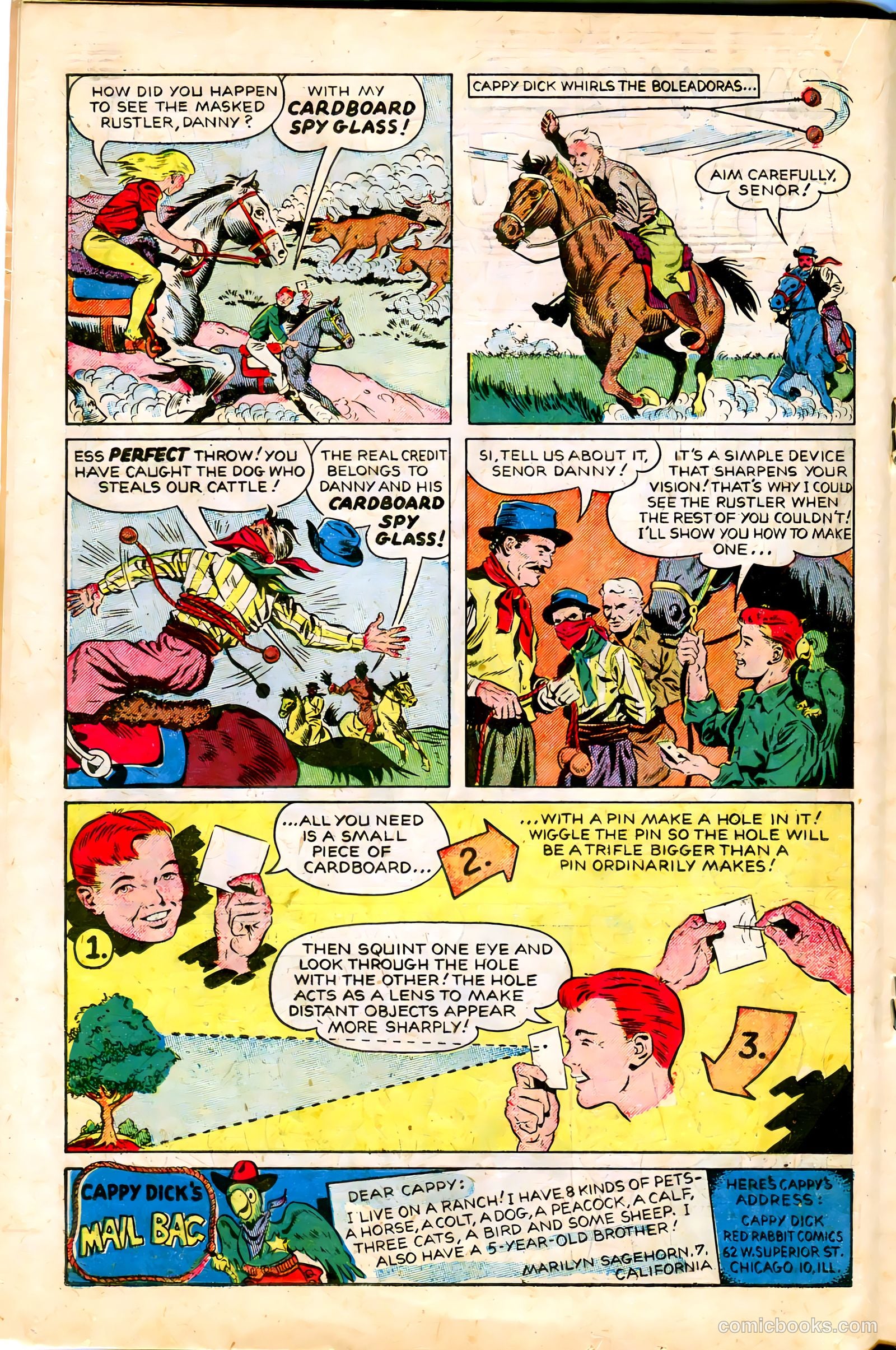 "Red" Rabbit Comics #22 (1951) — page 18 of 36