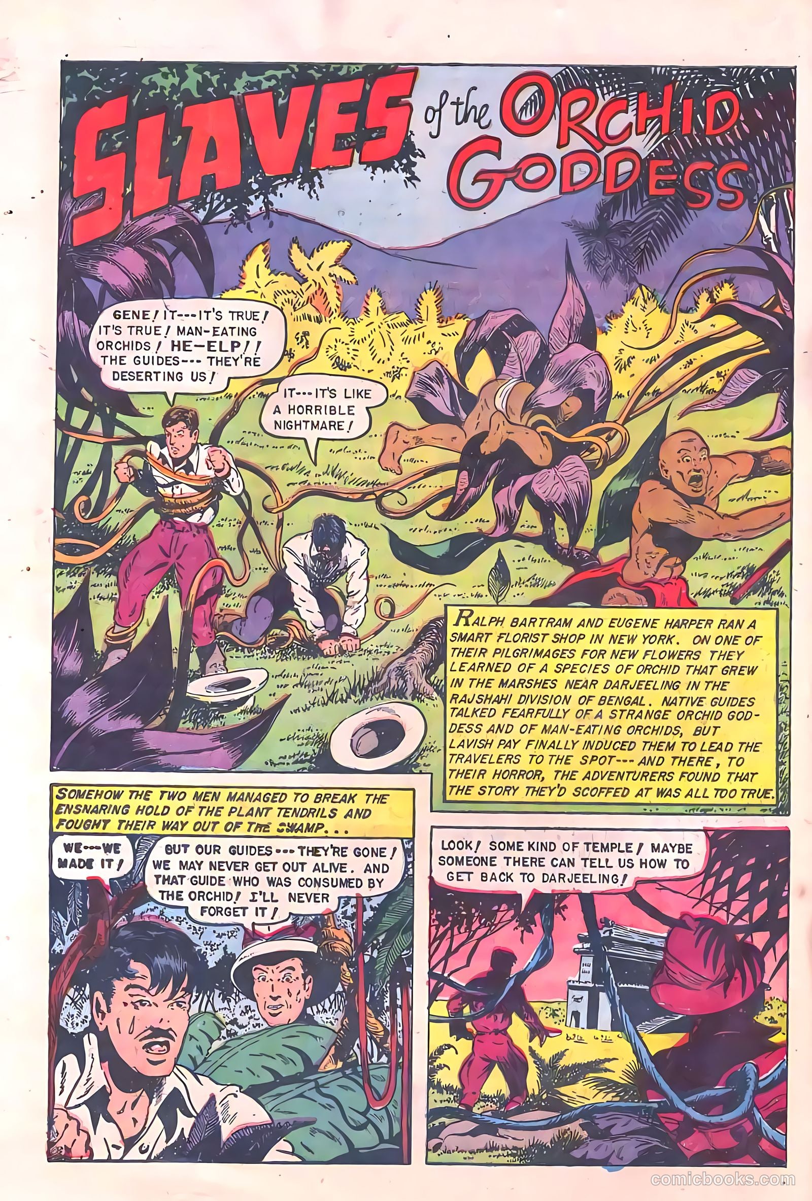 Baffling Mysteries #14 (1953) — page 28 of 36