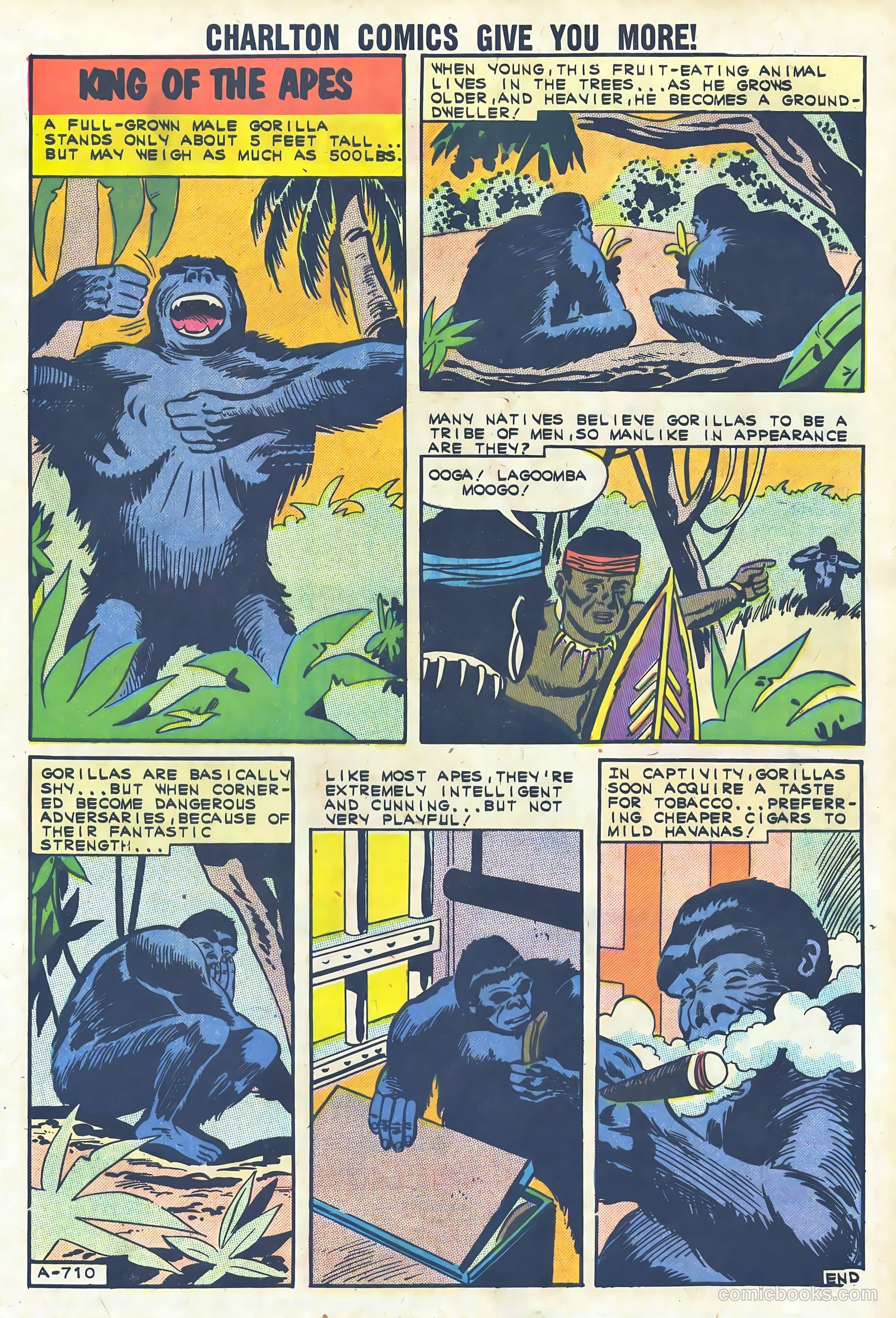 Reptisaurus #4 (1962) — page 33 of 36