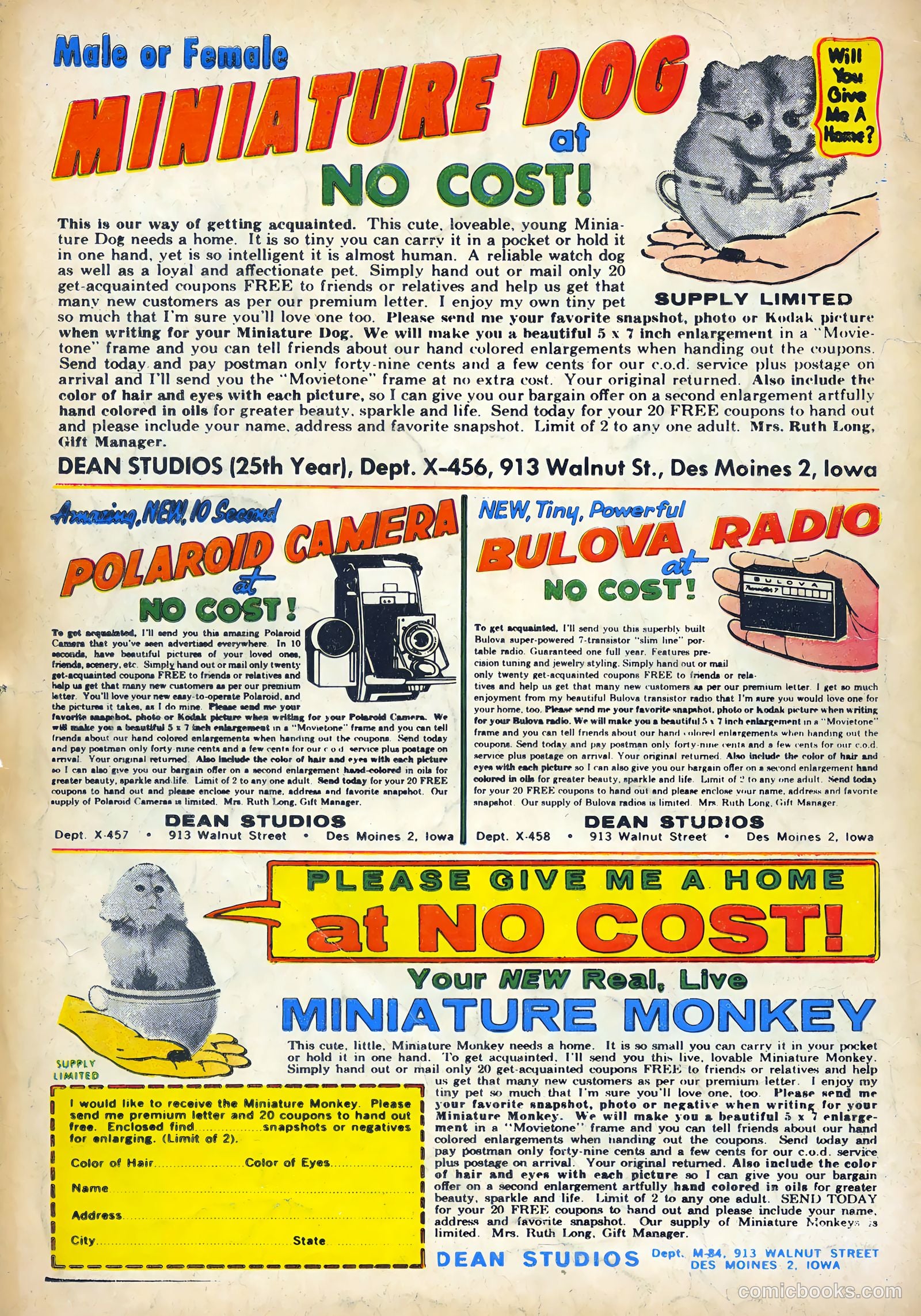 Reptisaurus #6 (1962) — page 36 of 36