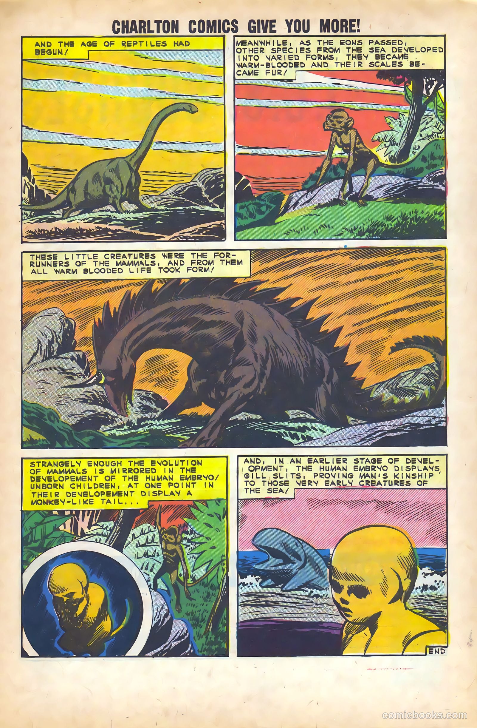 Reptisaurus Special Edition #1 (1963) — page 33 of 36