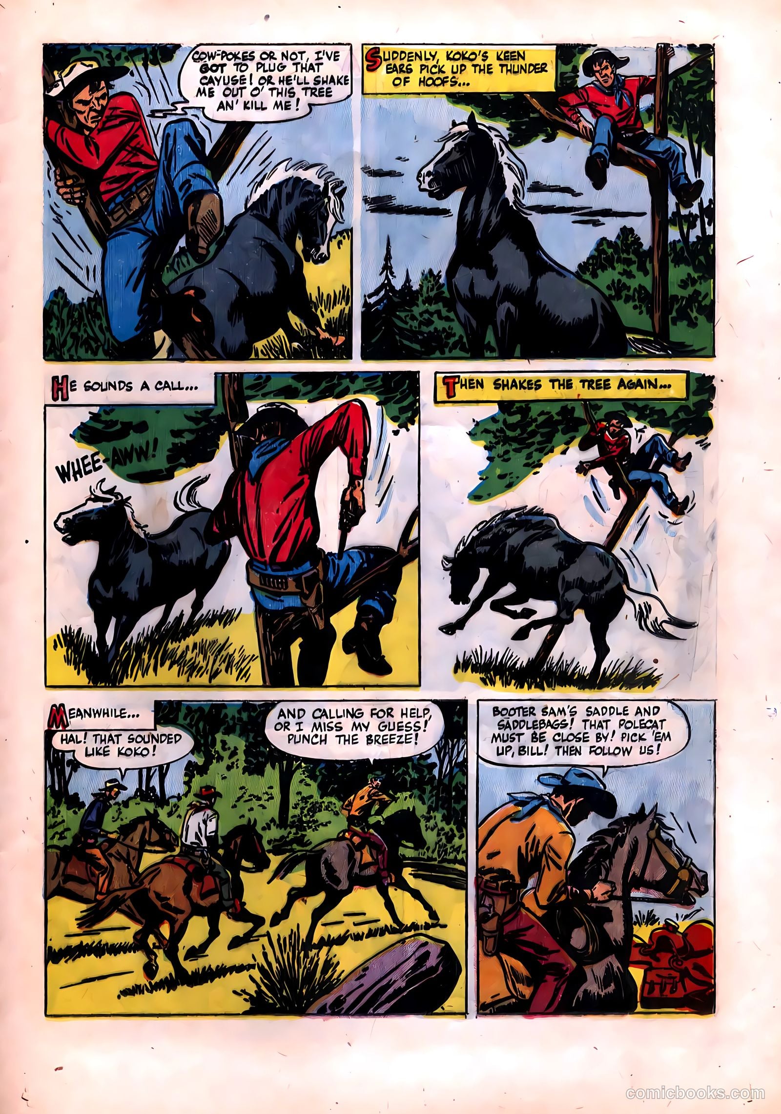Rex Allen #14 (1954) — page 25 of 36