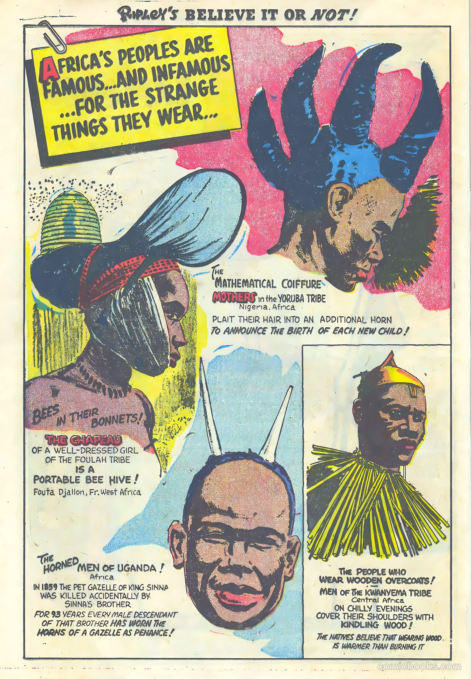 Ripley's Believe It or Not! #1 (1941) — page 22 of 36