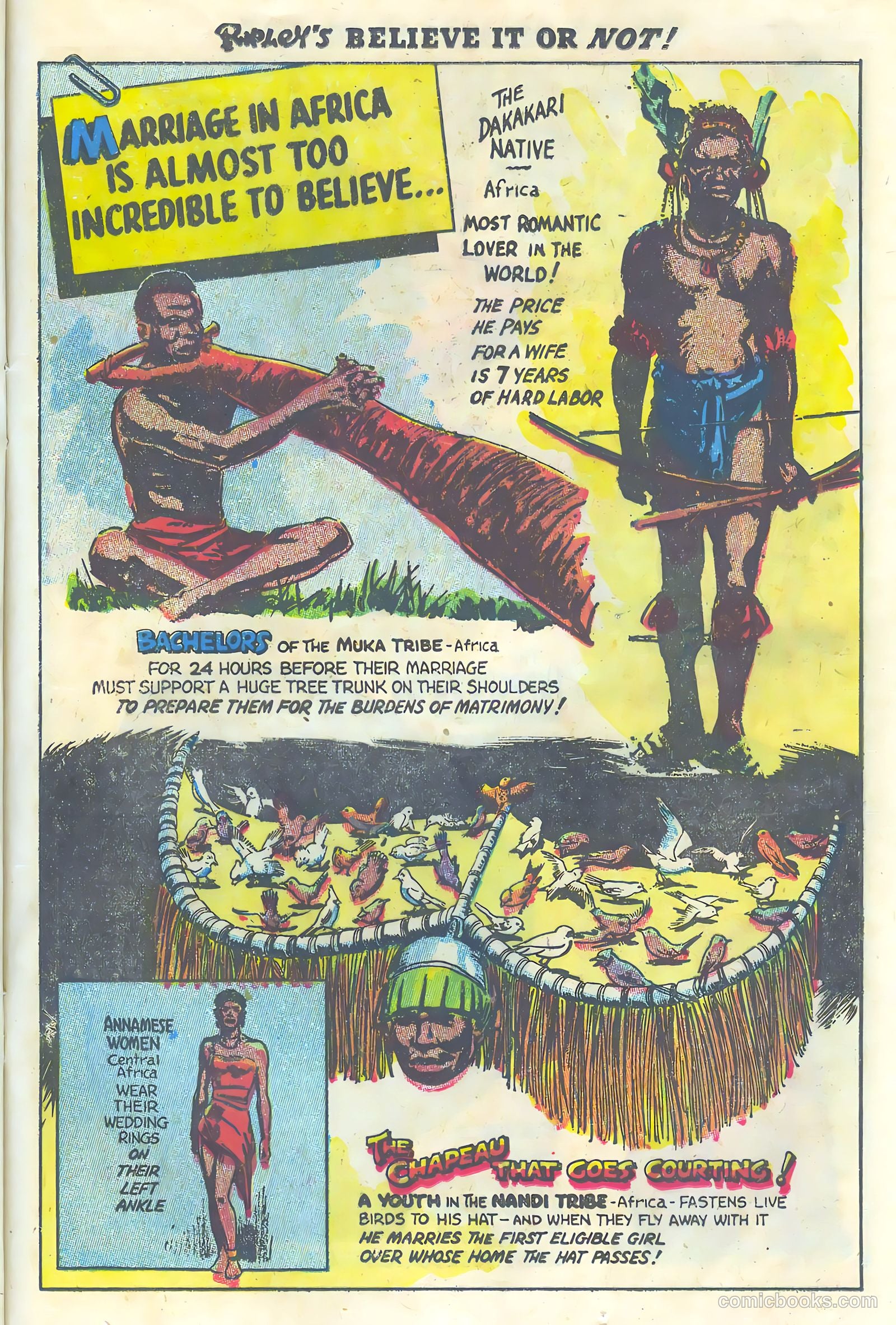 Ripley's Believe It or Not! #1 (1941) — page 23 of 36