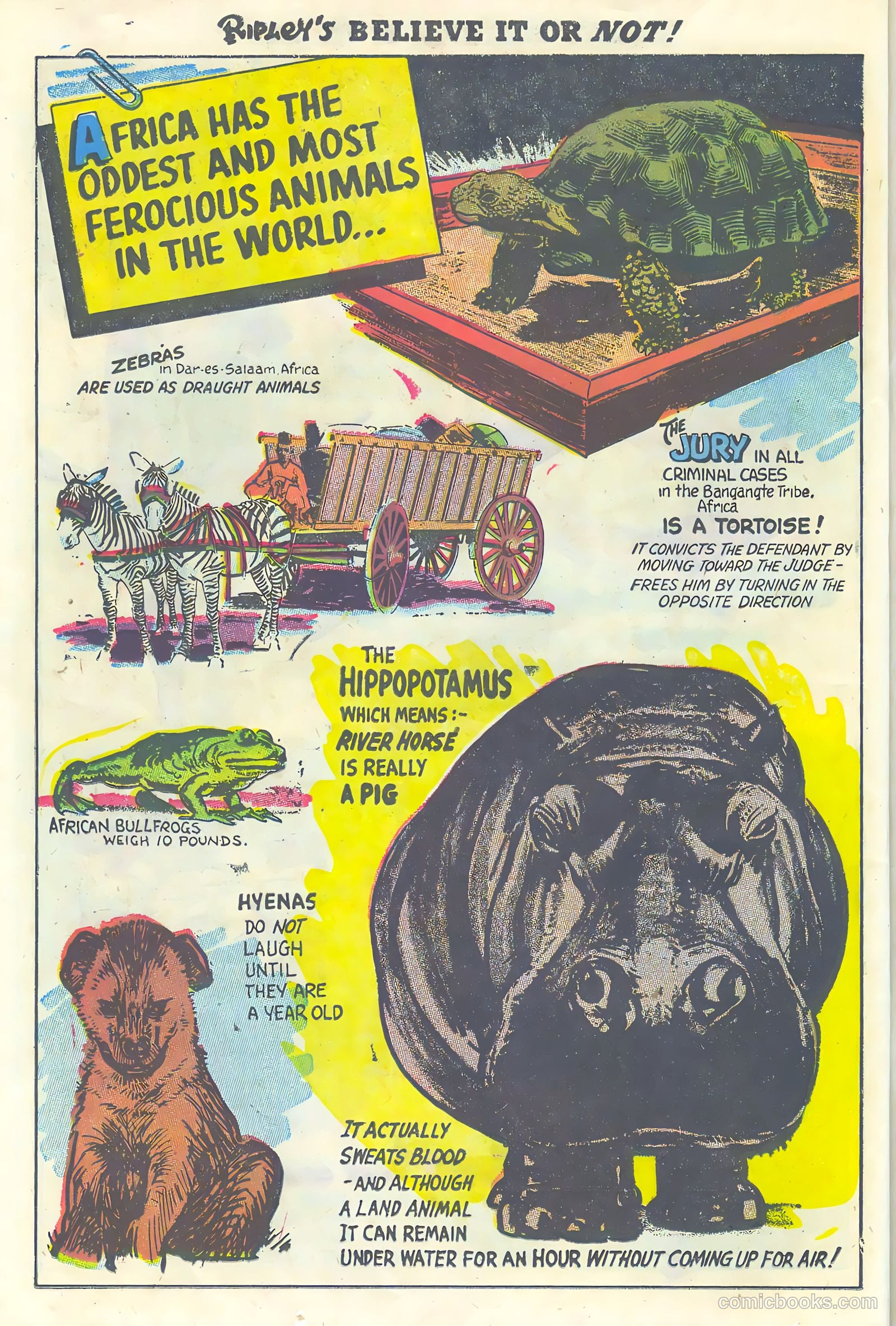Ripley's Believe It or Not! #1 (1941) — page 24 of 36