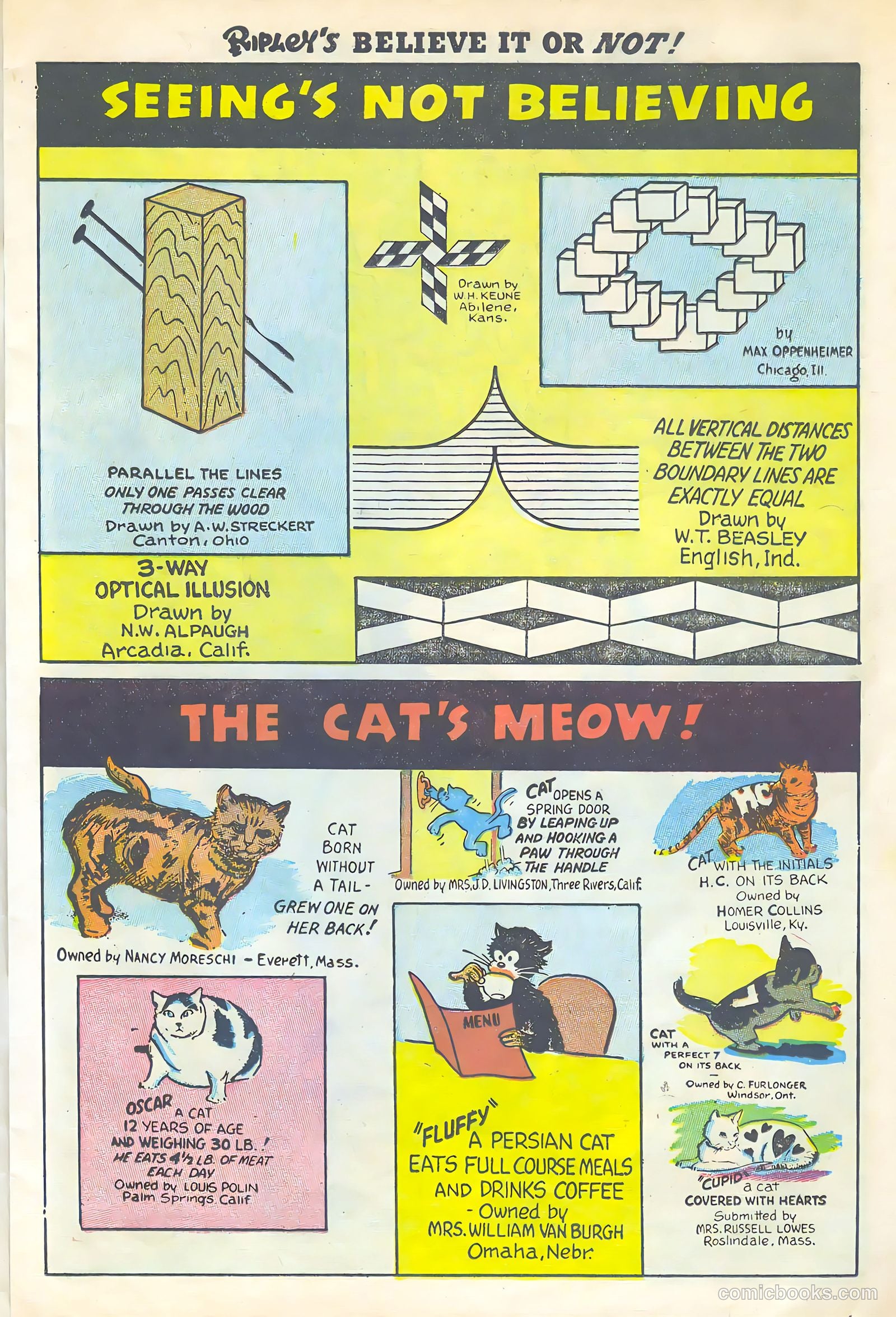 Ripley's Believe It or Not! #2 (1948) — page 11 of 36