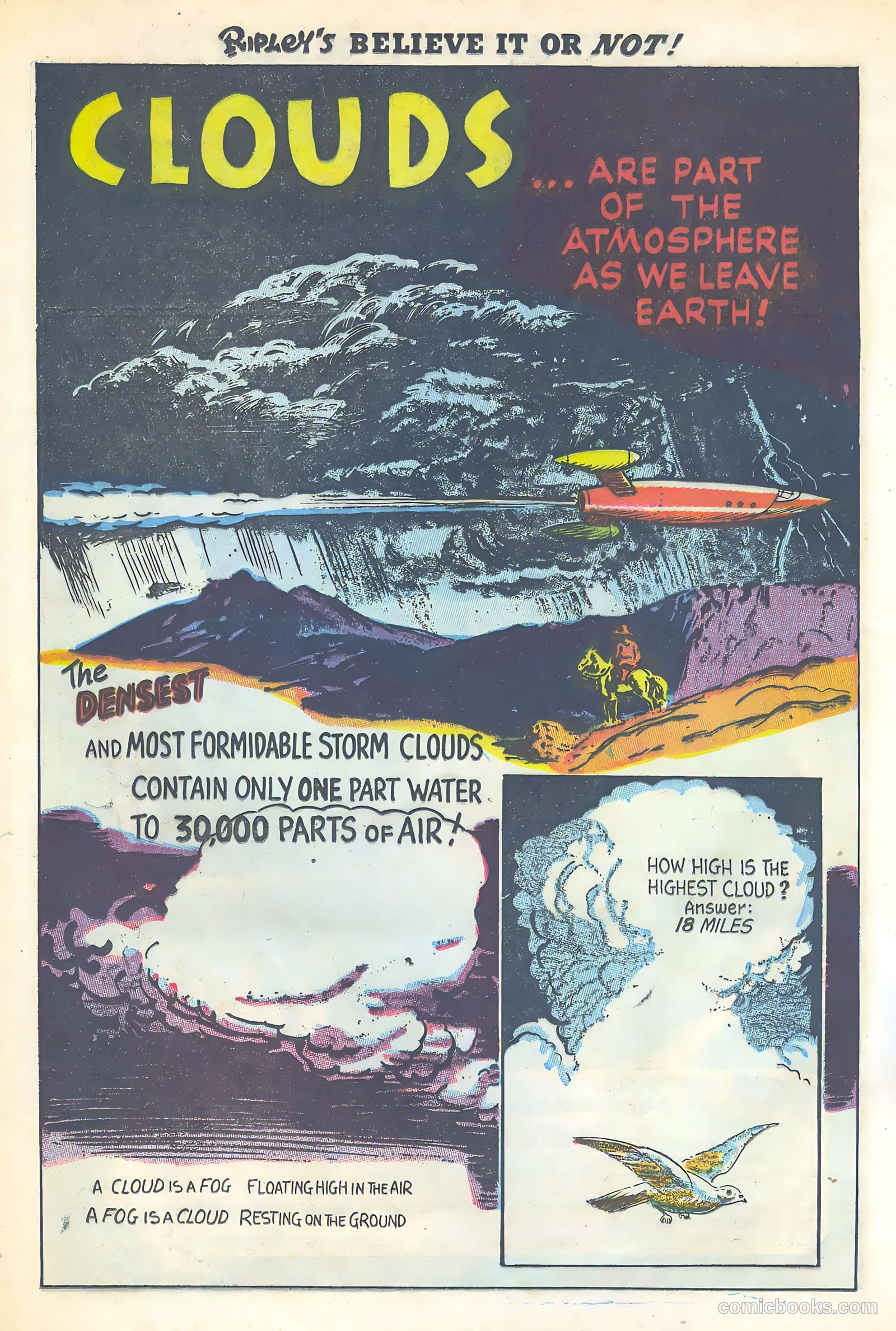 Ripley's Believe It or Not! #2 (1948) — page 22 of 36