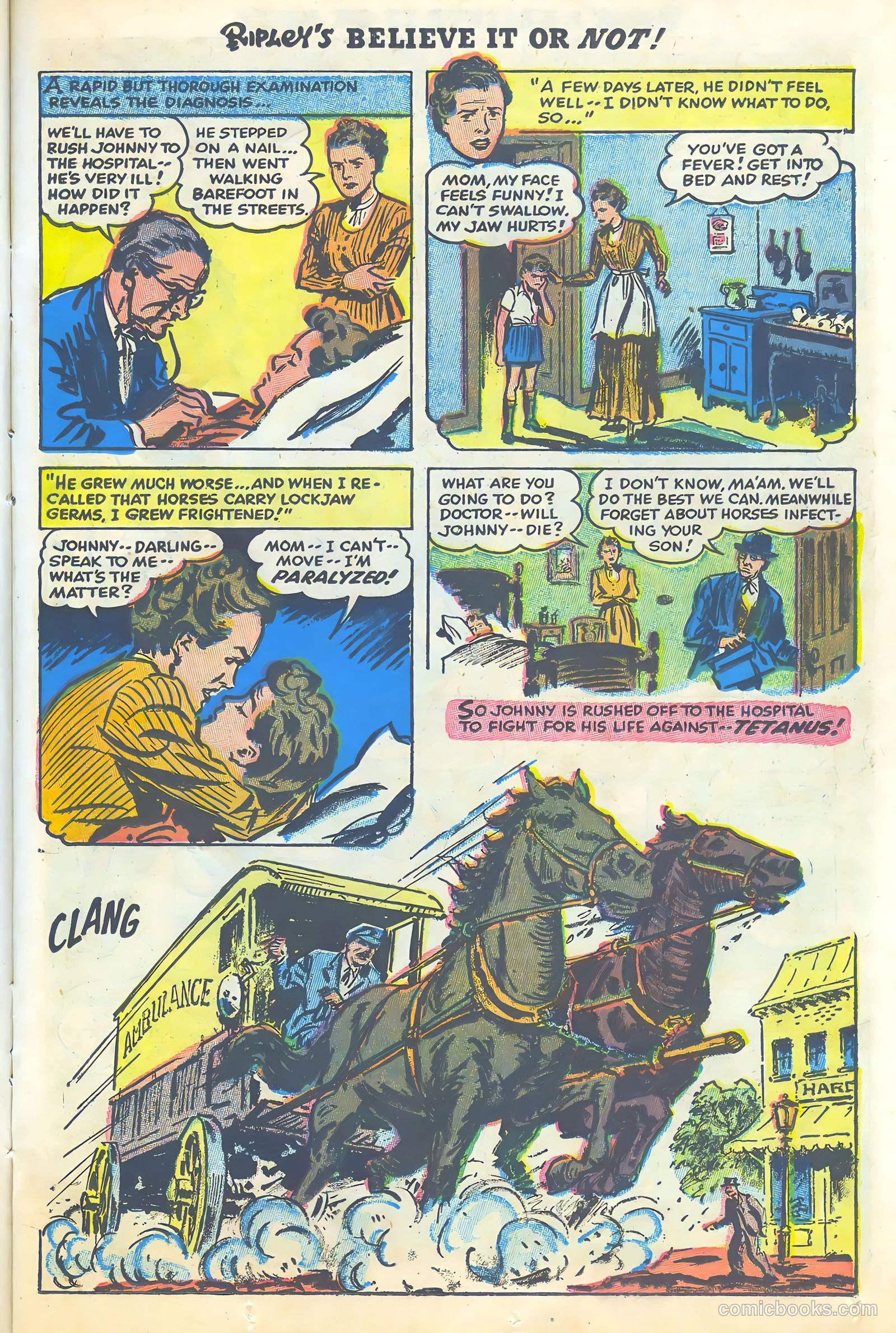 Ripley's Believe It or Not #3 (1954) — page 13 of 35