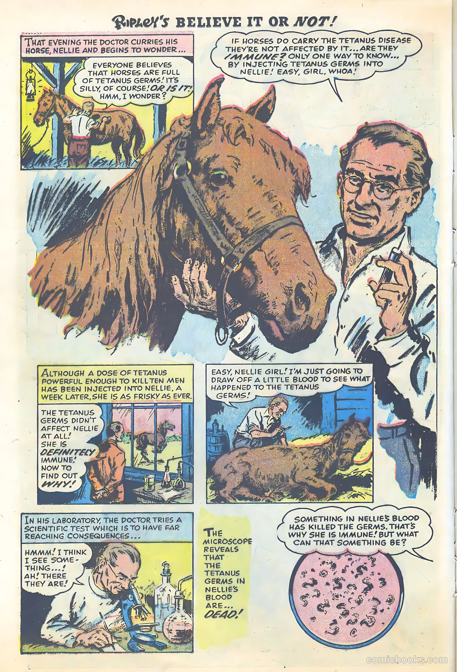 Ripley's Believe It or Not #3 (1954) — page 14 of 35