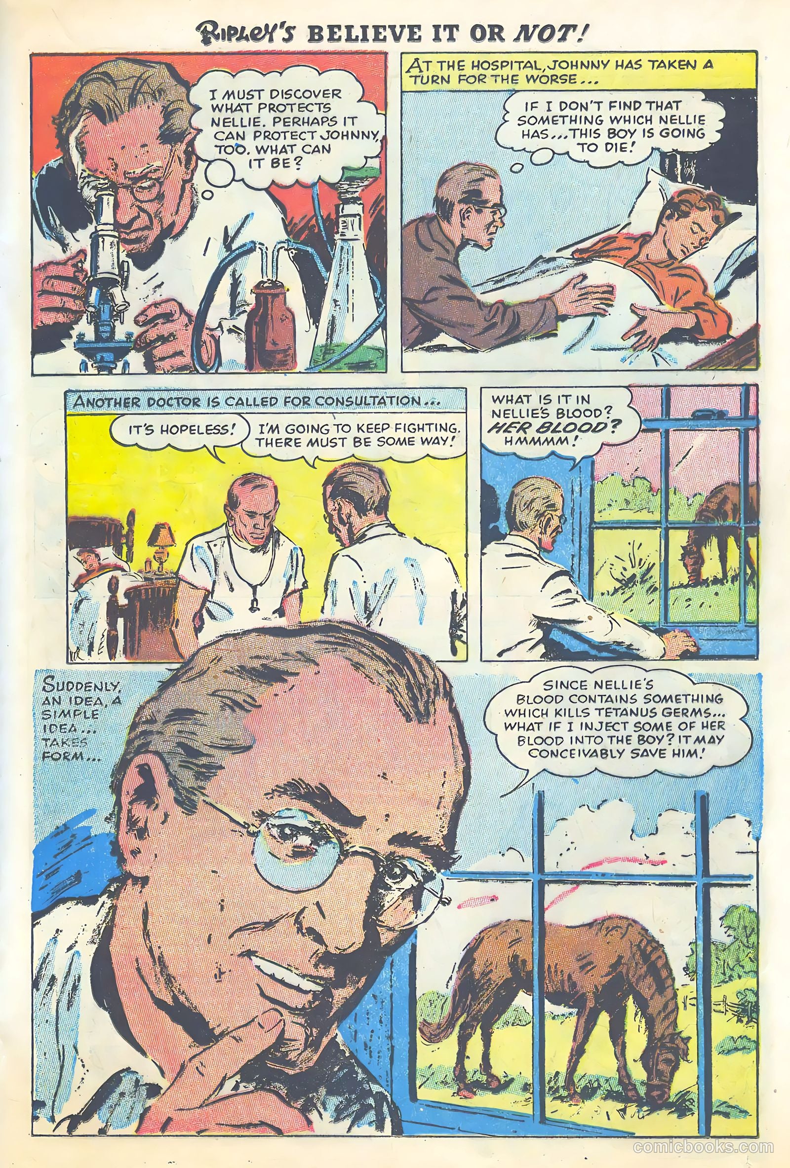 Ripley's Believe It or Not #3 (1954) — page 15 of 35