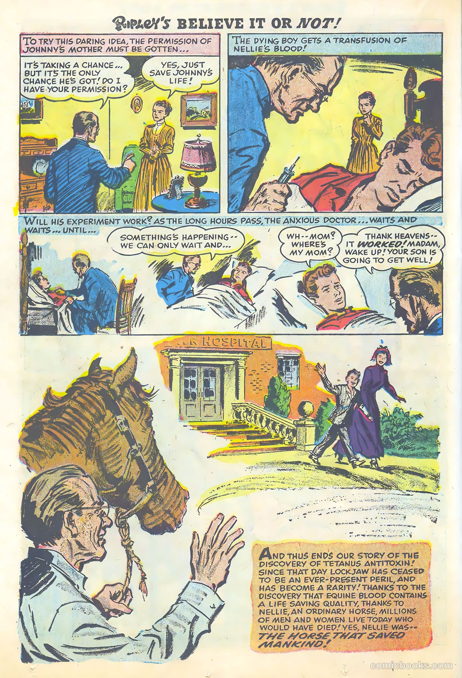 Ripley's Believe It or Not #3 (1954) — page 16 of 35