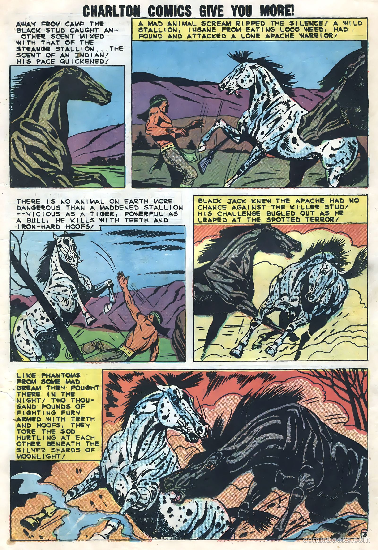 Rocky Lane's Black Jack #30 (1959) — page 19 of 36
