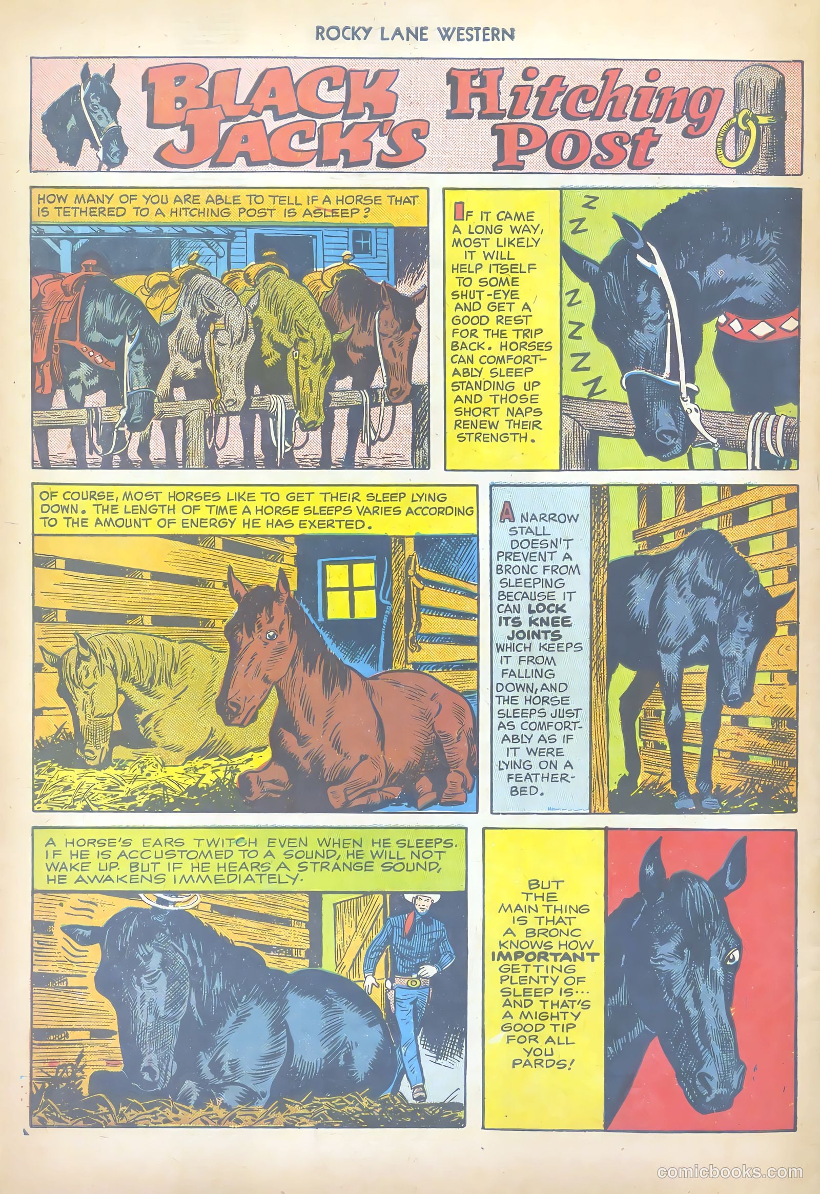 Rocky Lane Western #17 (1950) — page 50 of 52