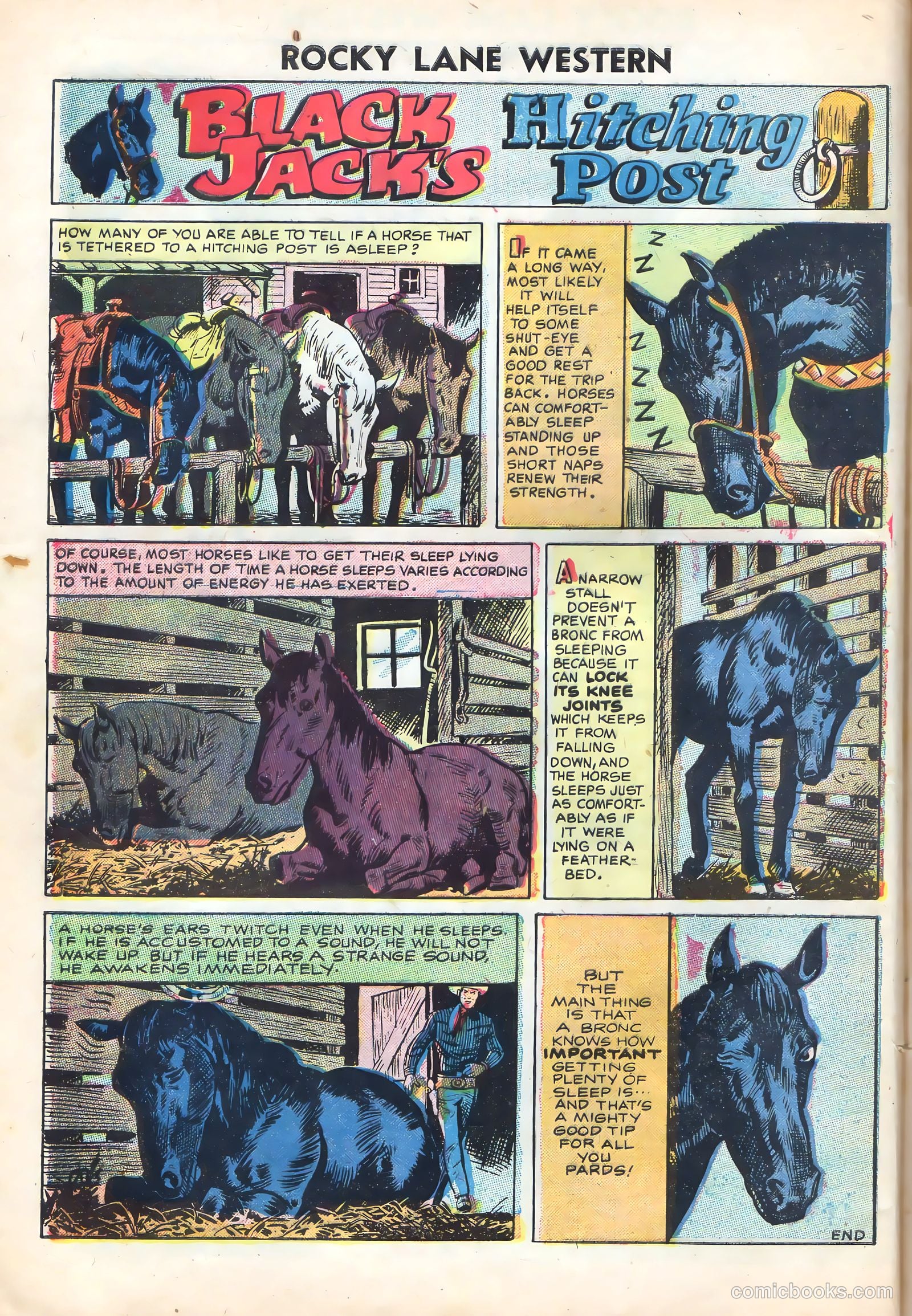 Rocky Lane Western #72 (1956) — page 8 of 36