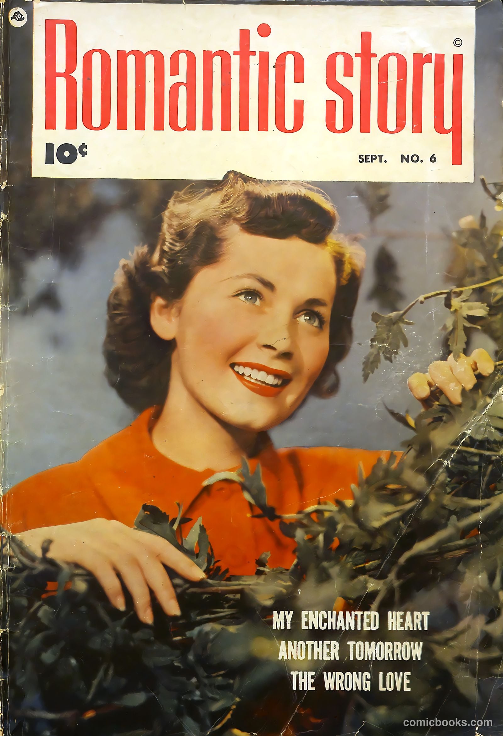 Romantic Story #6