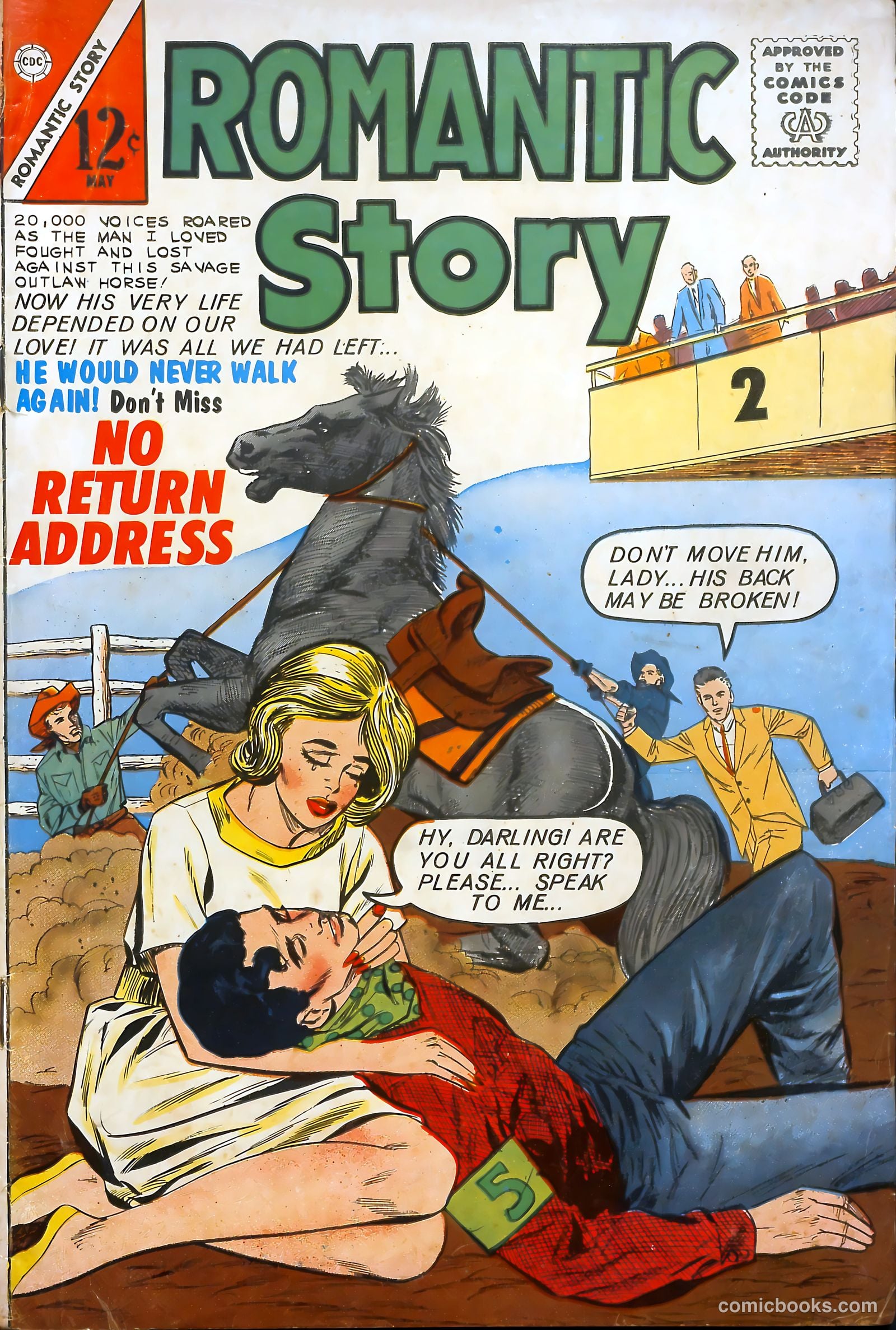Romantic Story #66