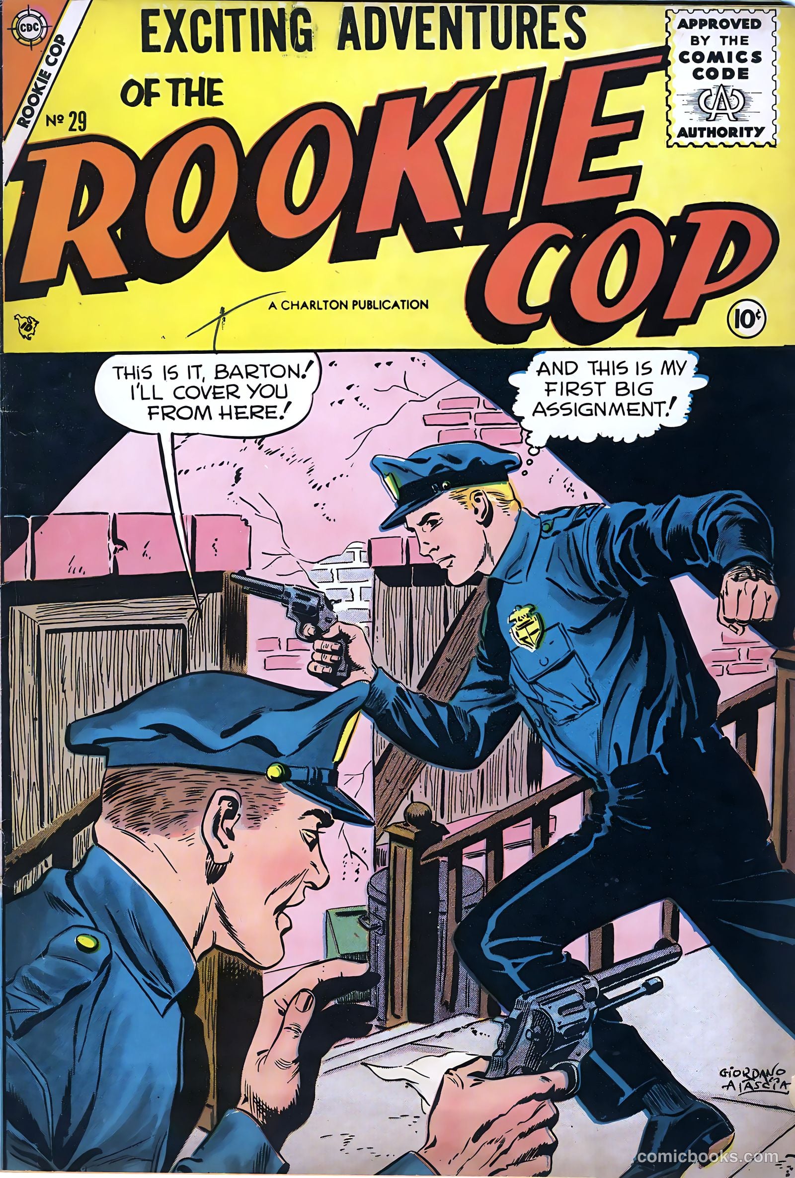 Rookie Cop #29