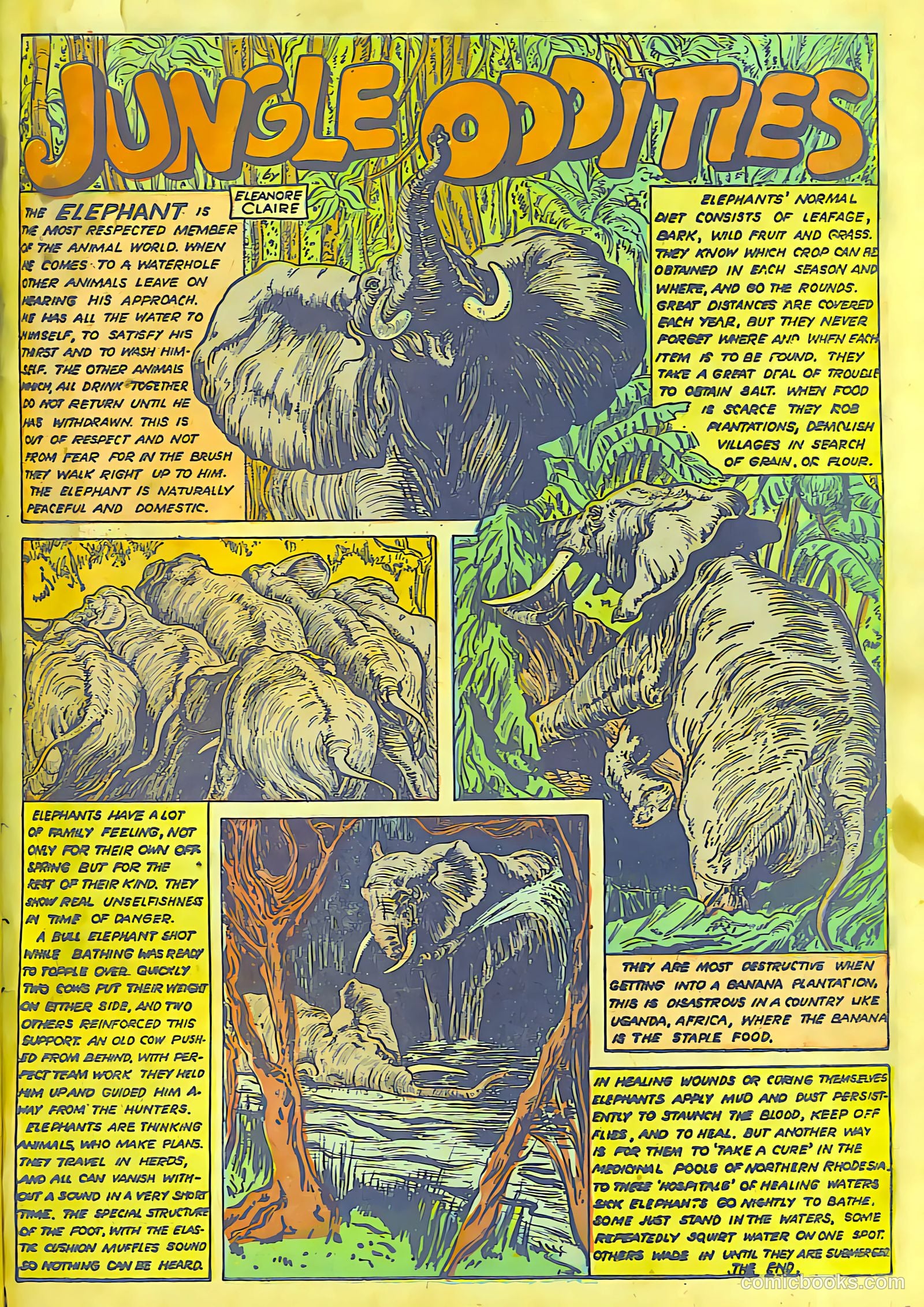 Rulah #21 (1948) — page 31 of 32