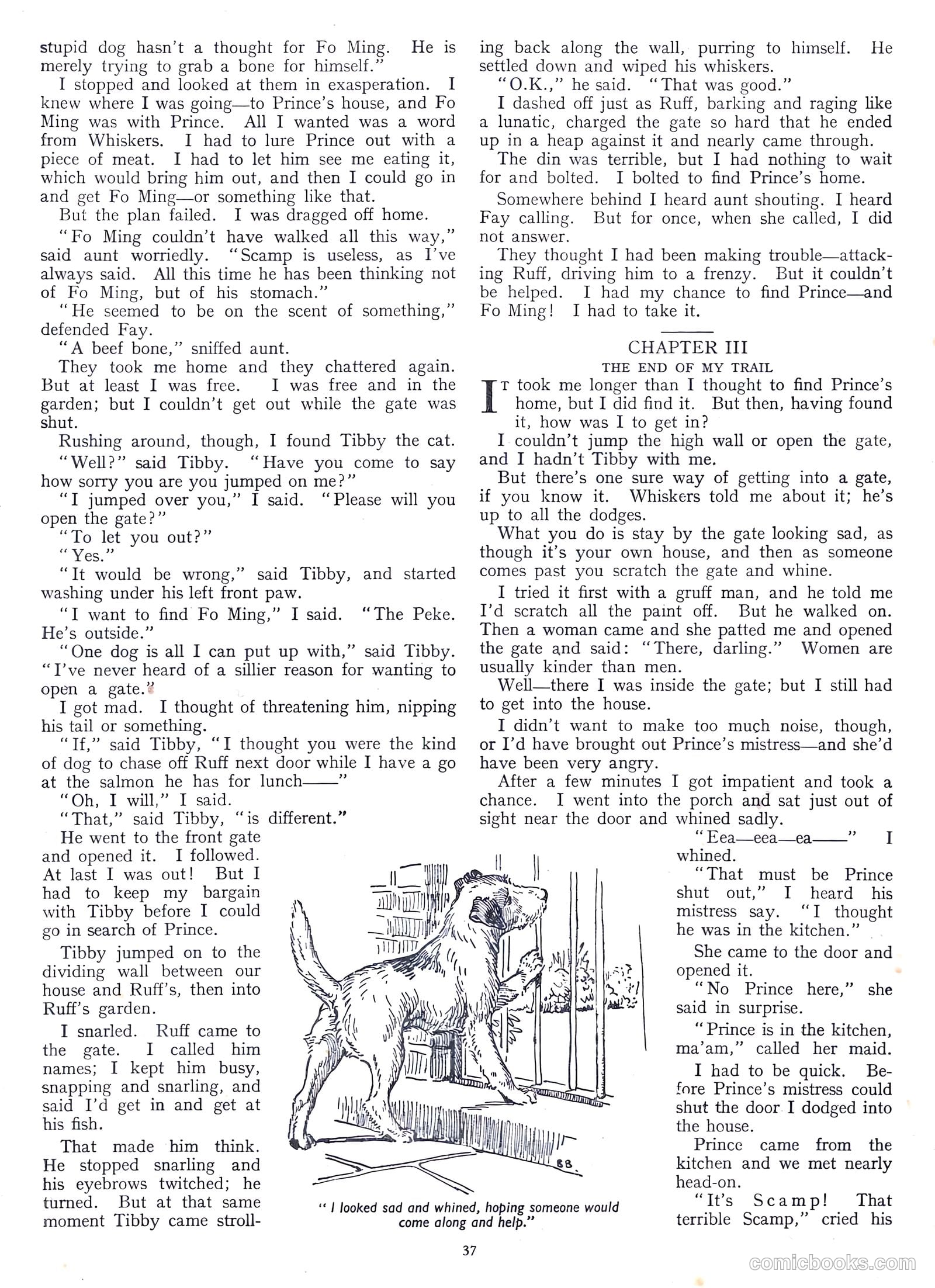 School Friend Annual #1953 (1953) — page 36 of 93