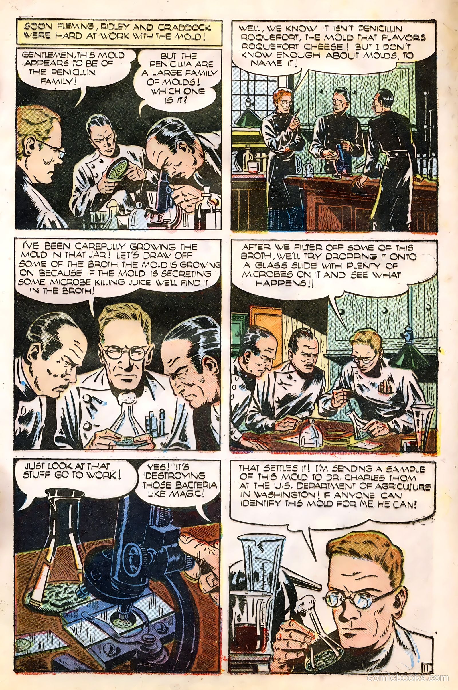 Science Comics #1 (1946) — page 13 of 36