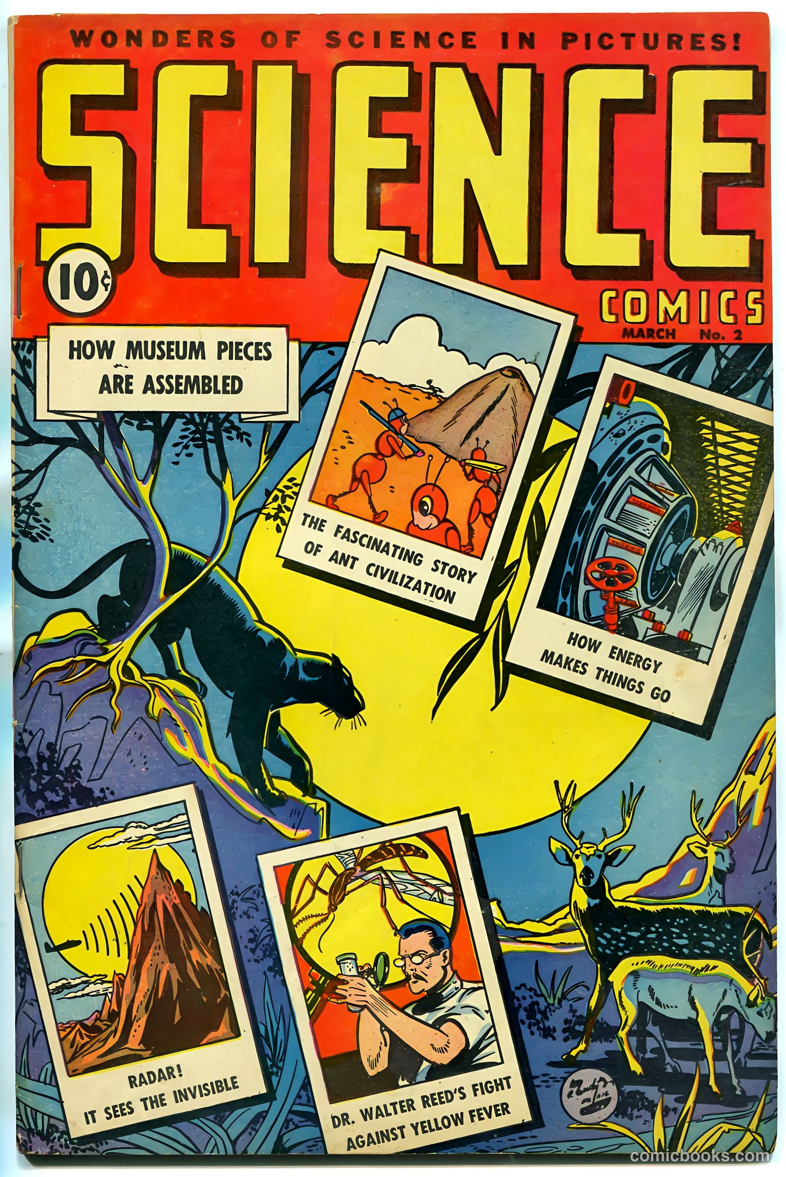 Science Comics #2