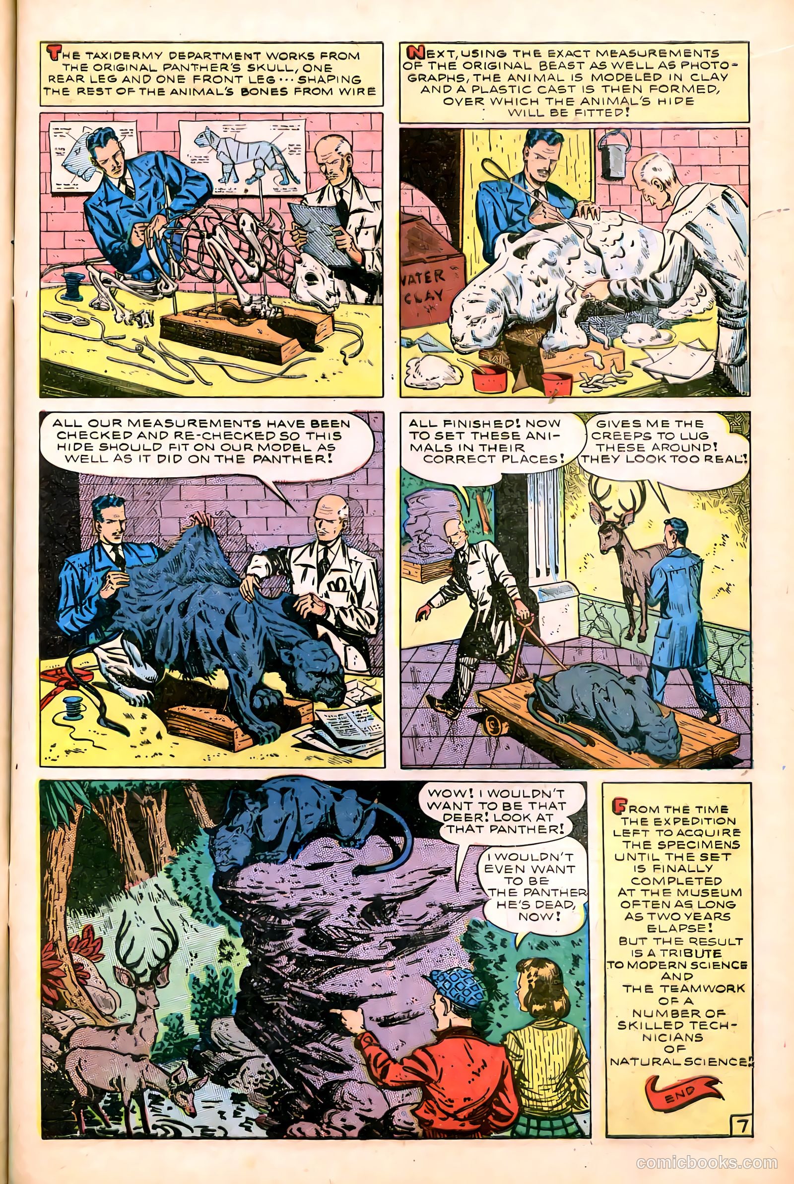 Science Comics #2 (1946) — page 9 of 36