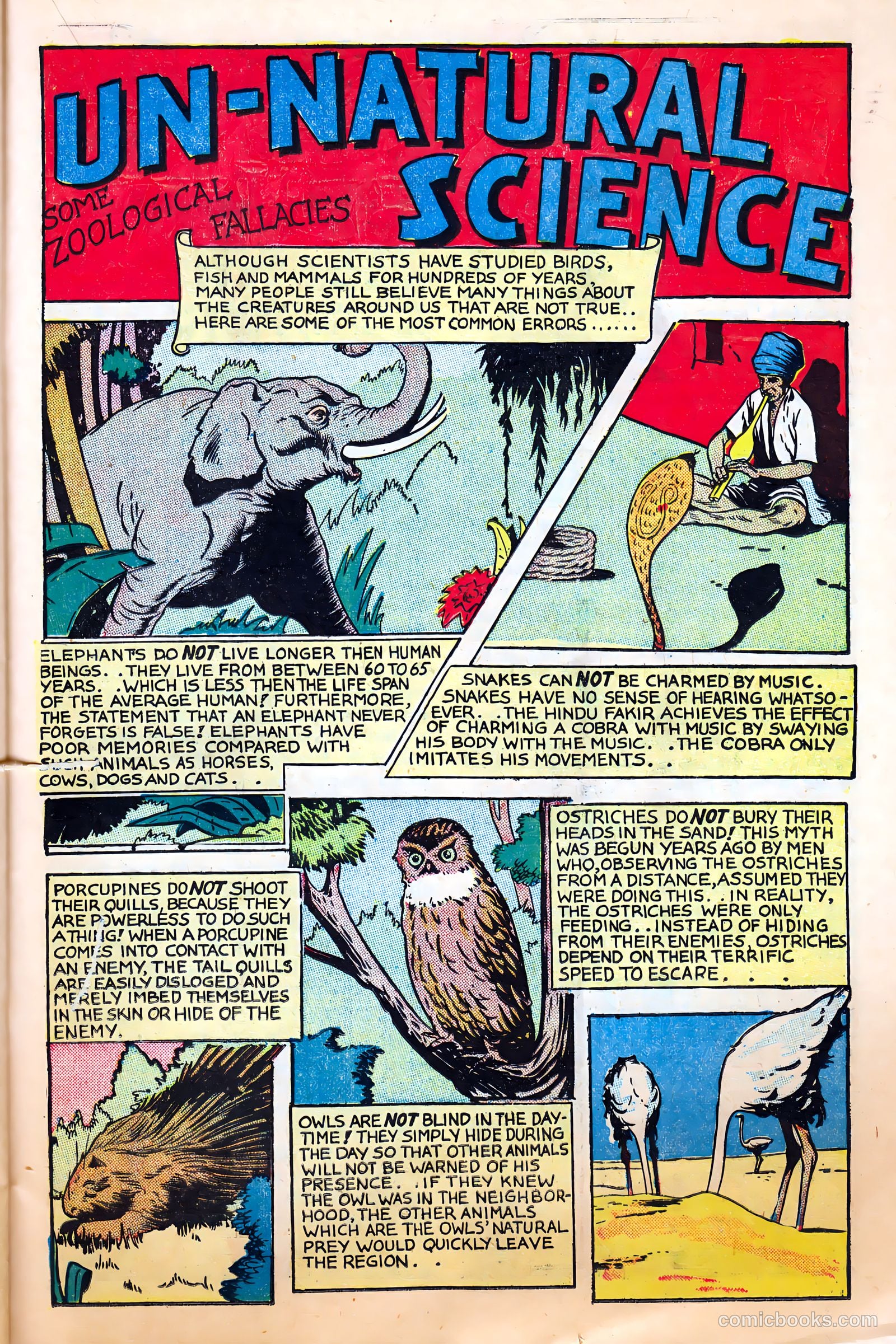 Science Comics #4 (1946) — page 23 of 36