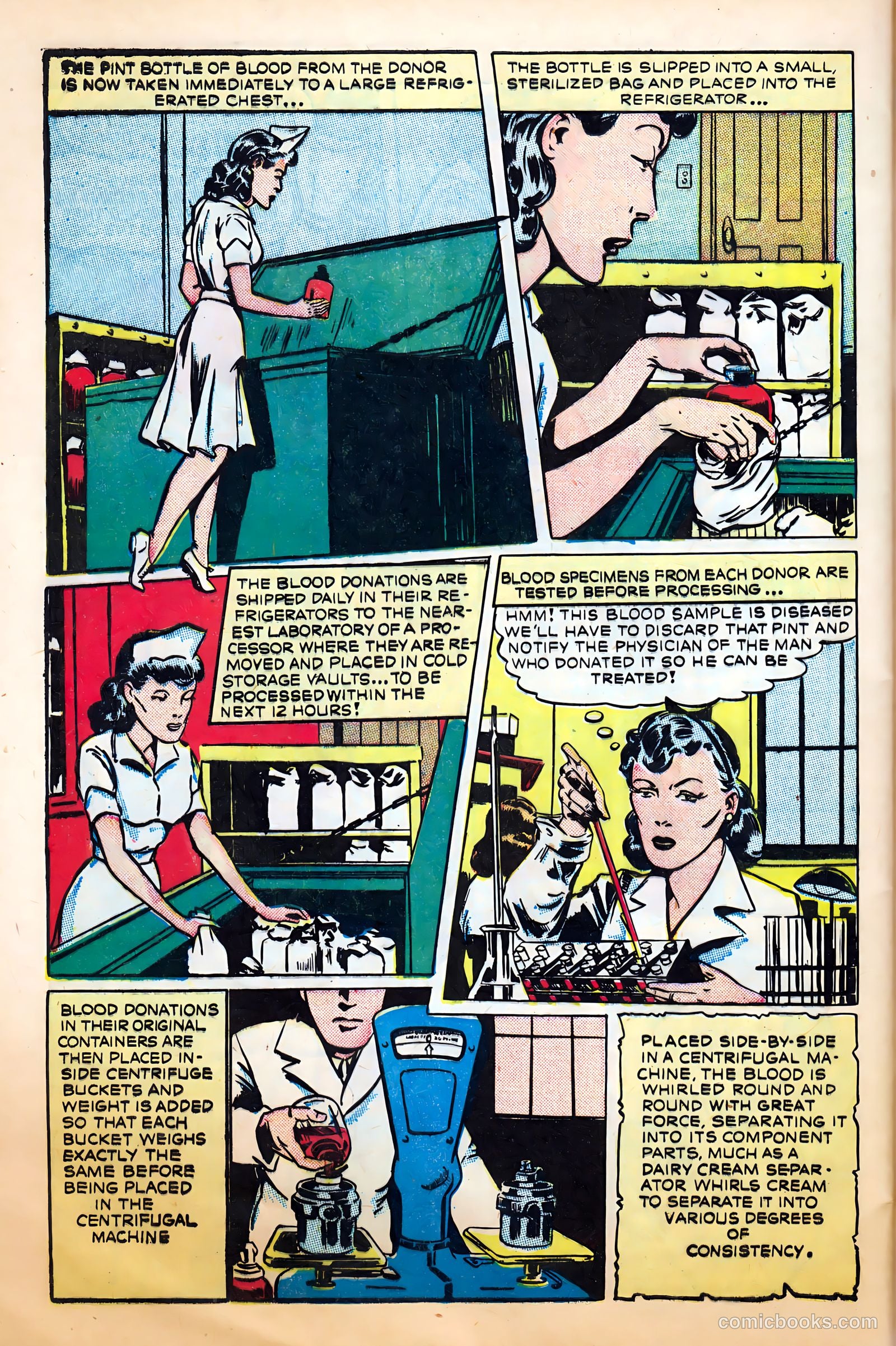 Science Comics #4 (1946) — page 28 of 36