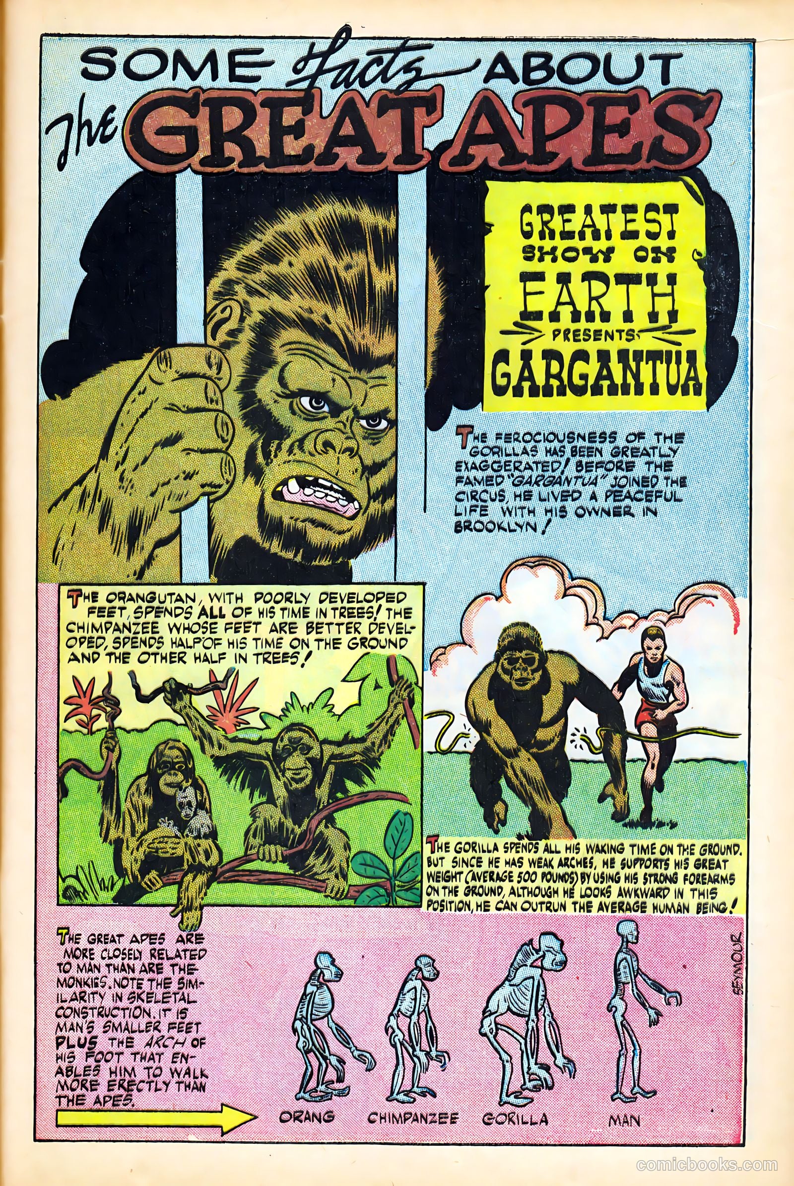 Science Comics #5 (1946) — page 13 of 52