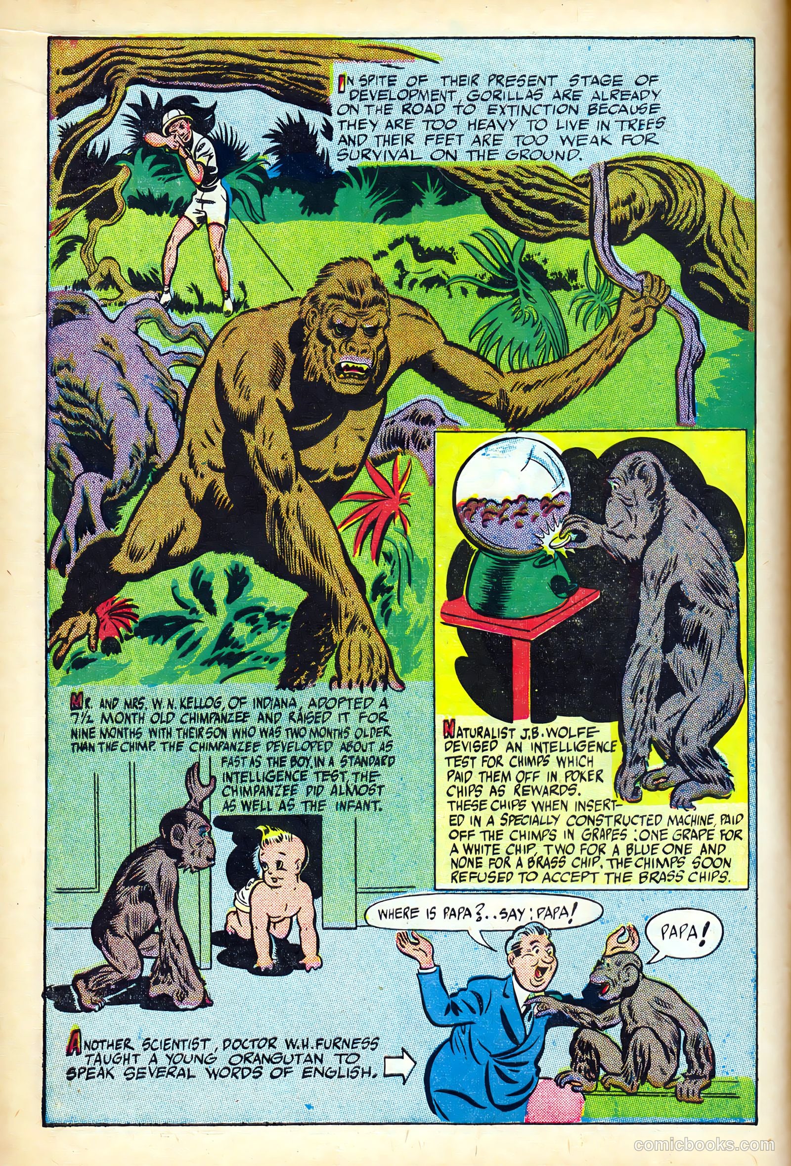 Science Comics #5 (1946) — page 14 of 52