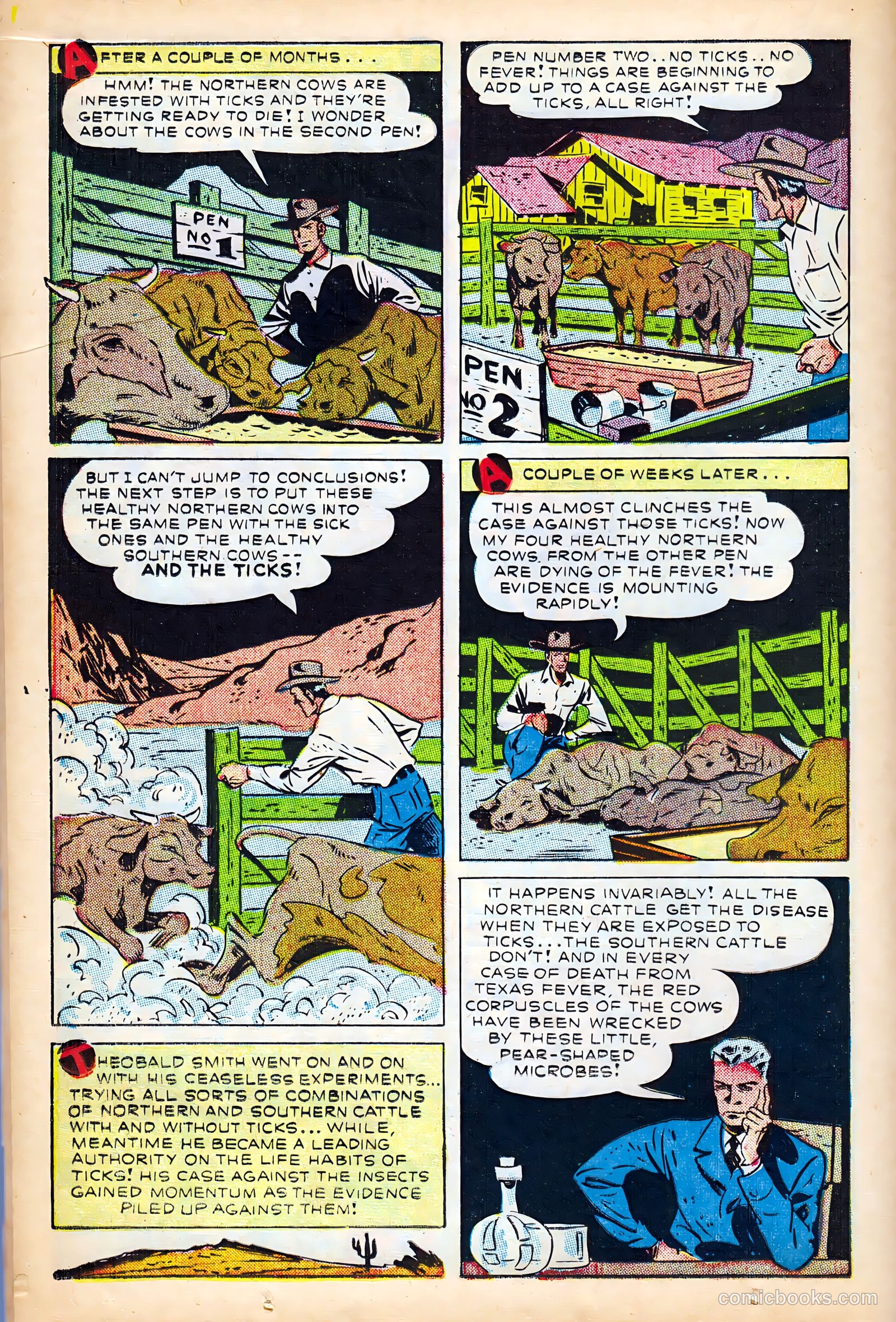 Science Comics #5 (1946) — page 24 of 52