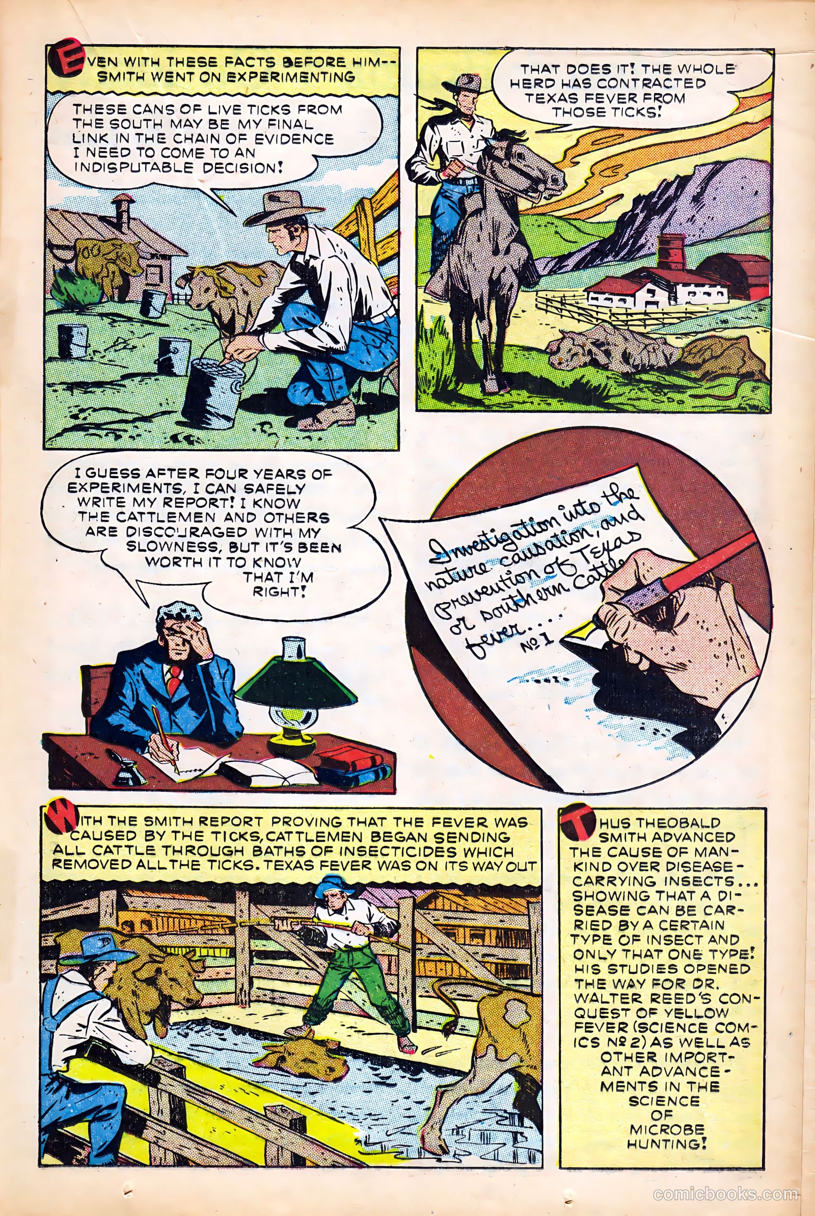 Science Comics #5 (1946) — page 25 of 52